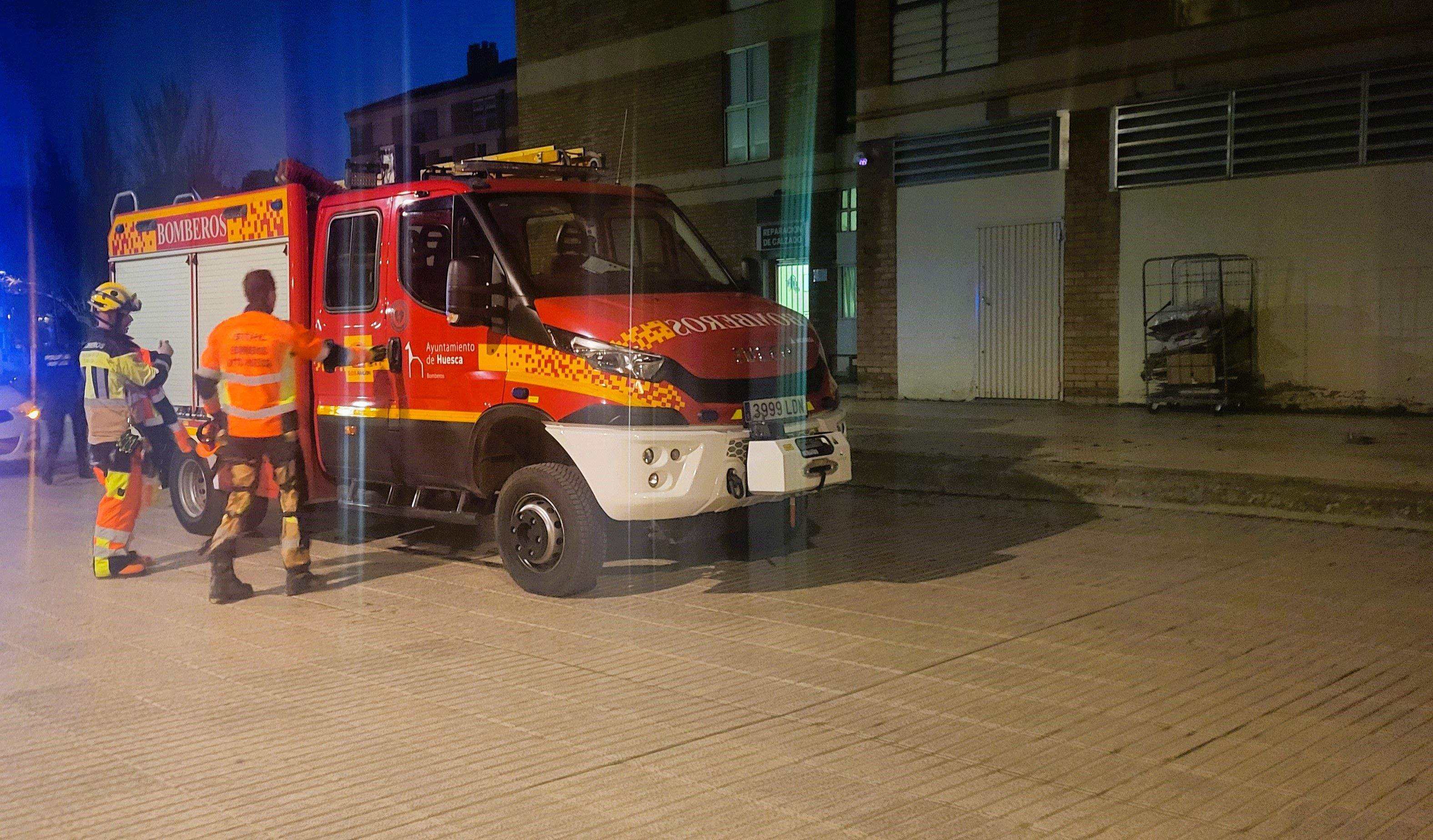 Imágenes de los pinos caídos este lunes en el Parque San Martín. Foto Myriam Martínez 