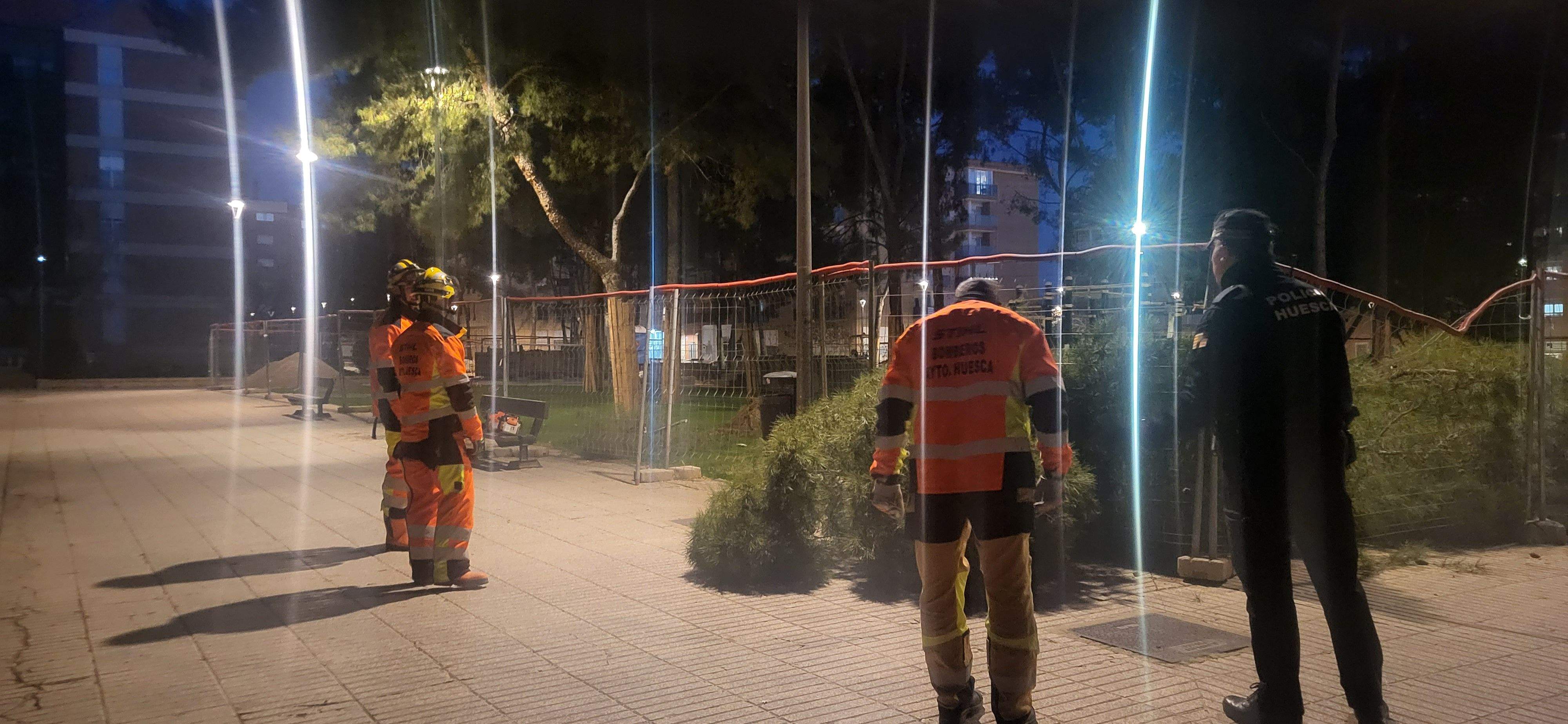 Imágenes de los pinos caídos este lunes en el Parque San Martín. Foto Myriam Martínez 