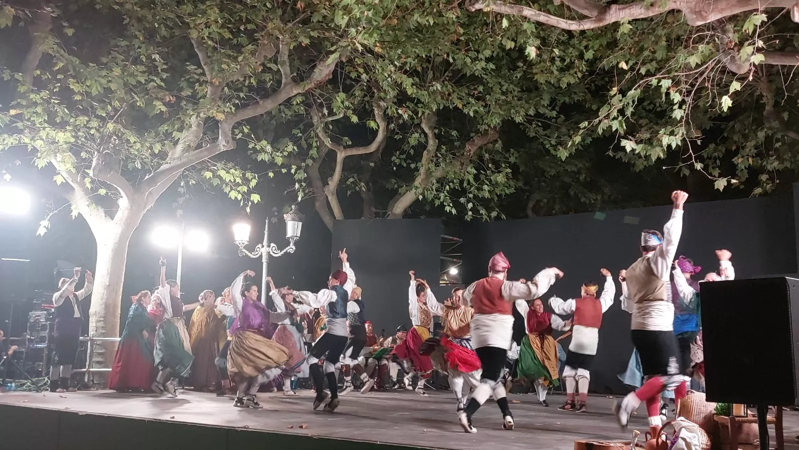  Agrupación Folklórica Santa Cecilia en el Parque Miguel Servet