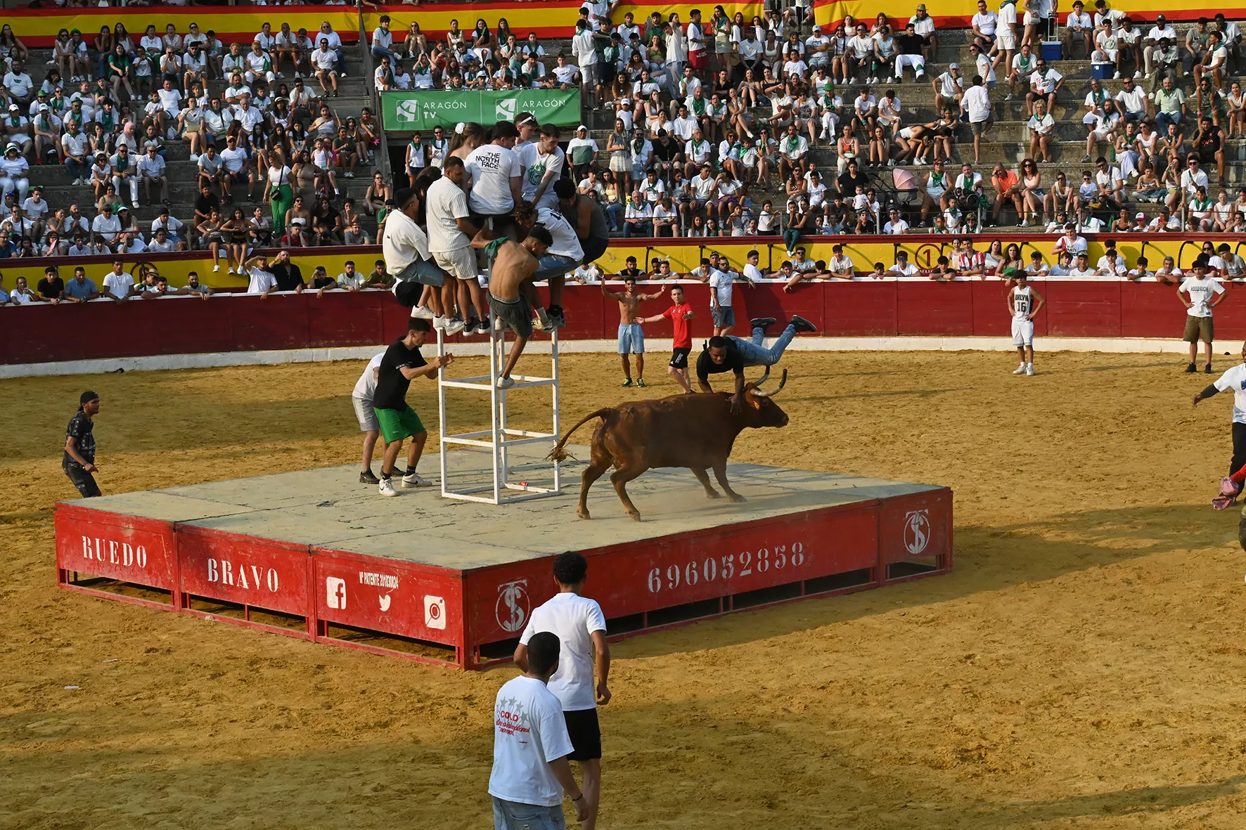 Vaquillas del 15 de agosto. Foto Carlos Jalle 
