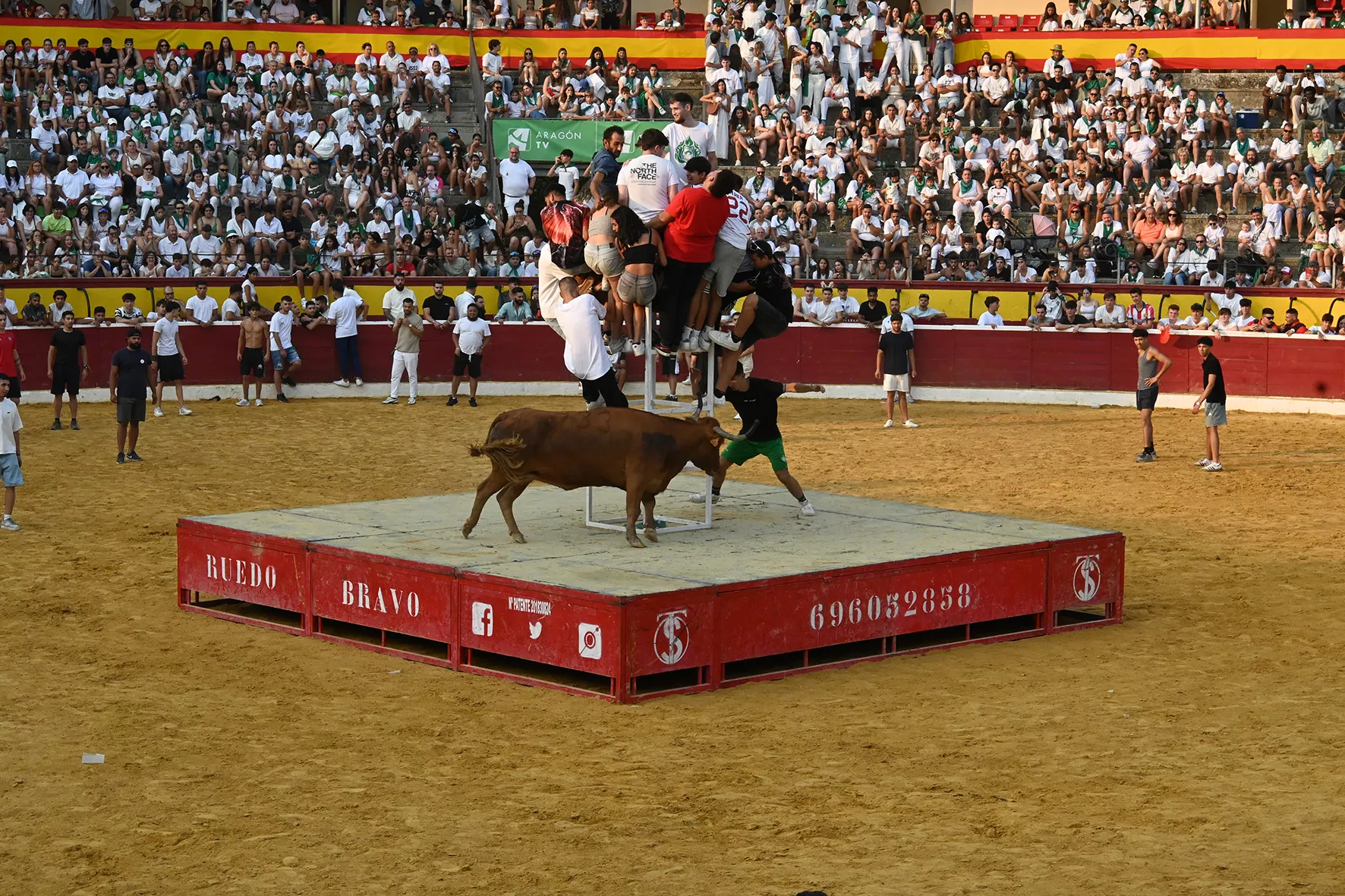 Vaquillas del 15 de agosto. Foto Carlos Jalle 
