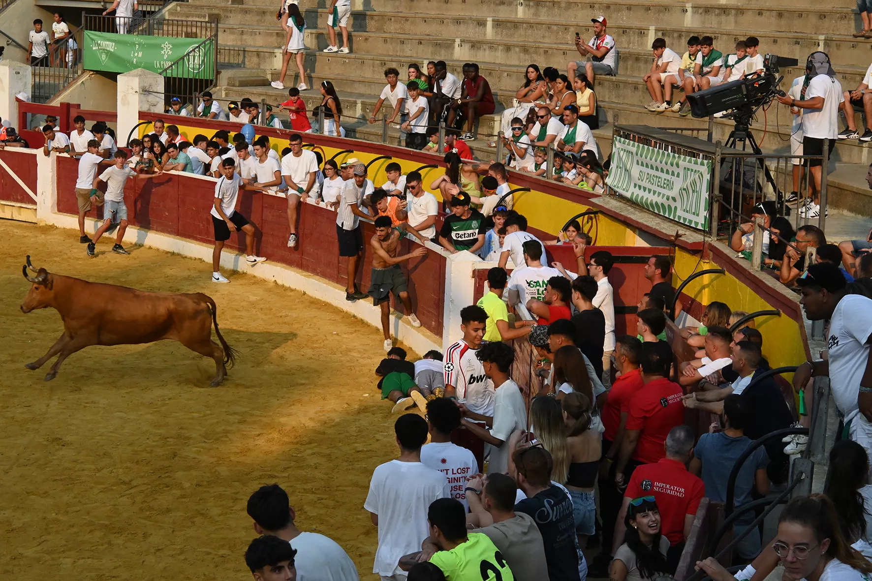 Vaquillas del 15 de agosto. Foto Carlos Jalle 