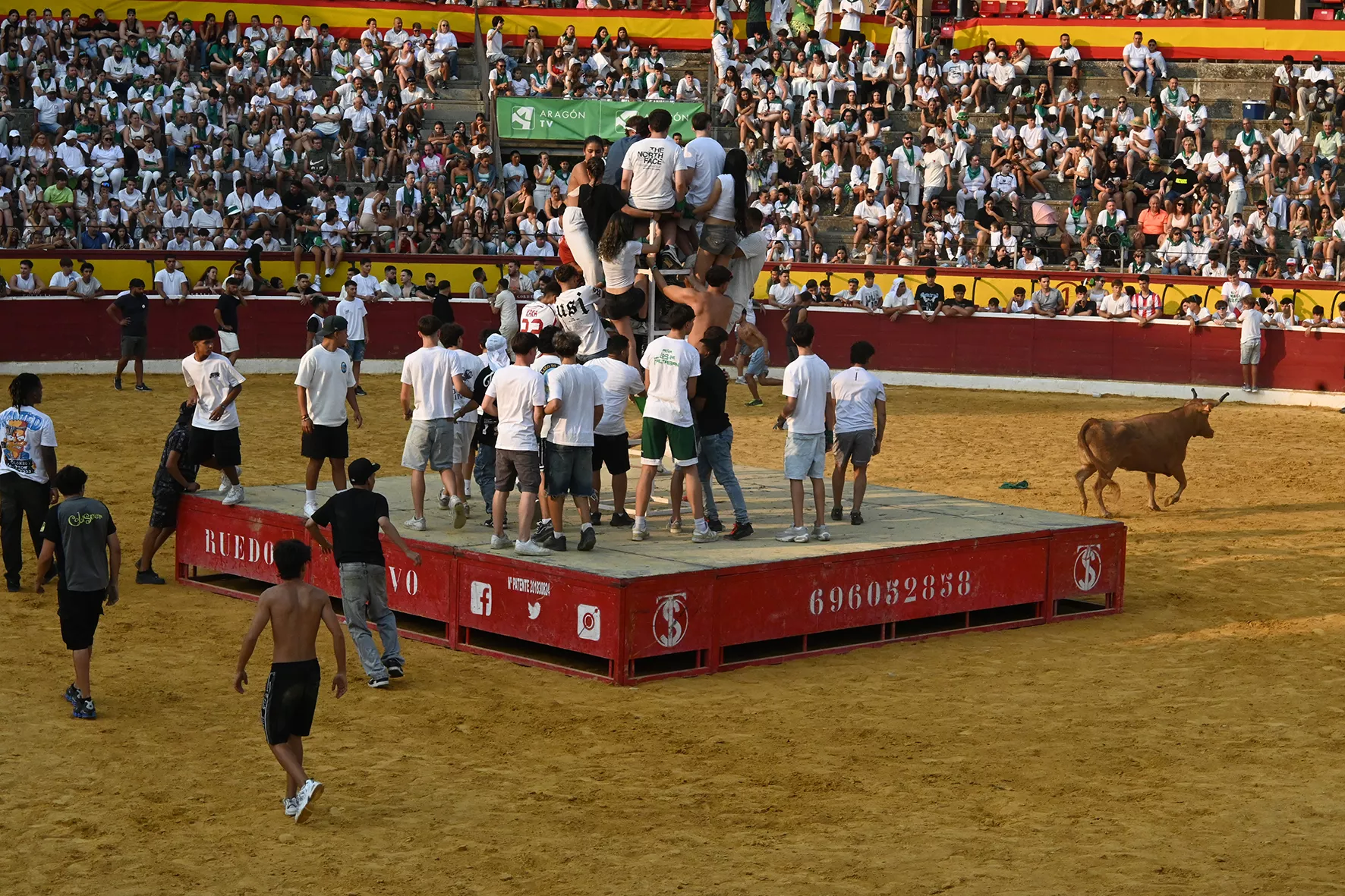 Vaquillas del 15 de agosto. Foto Carlos Jalle 