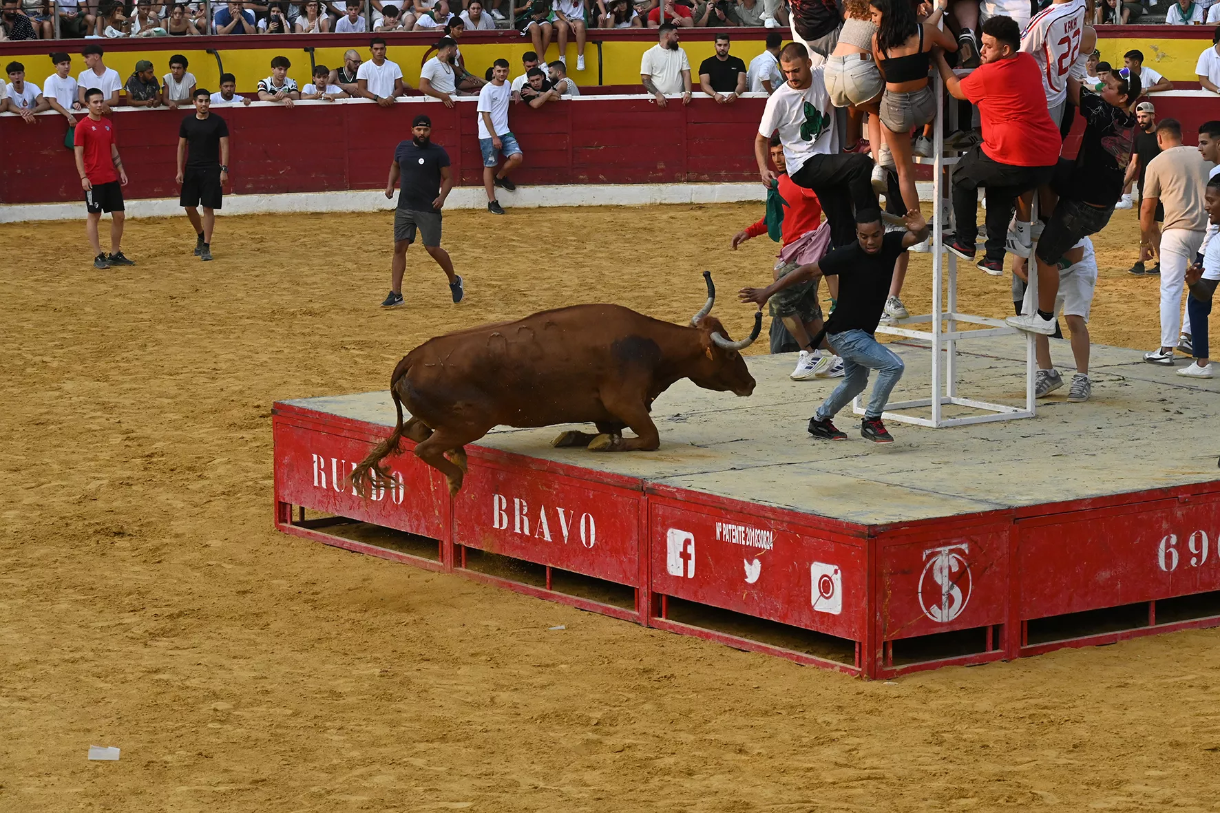 Vaquillas del 15 de agosto. Foto Carlos Jalle 