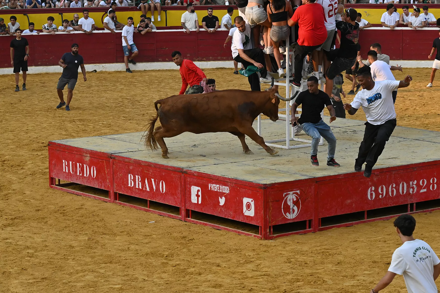 Vaquillas del 15 de agosto. Foto Carlos Jalle 