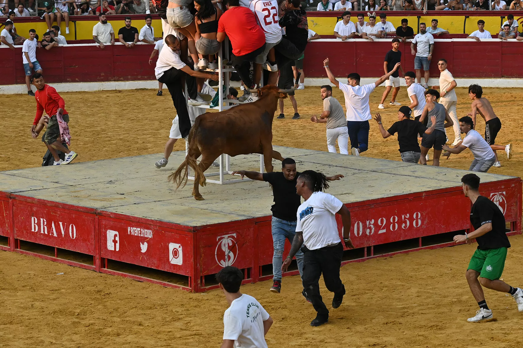 Vaquillas del 15 de agosto. Foto Carlos Jalle 