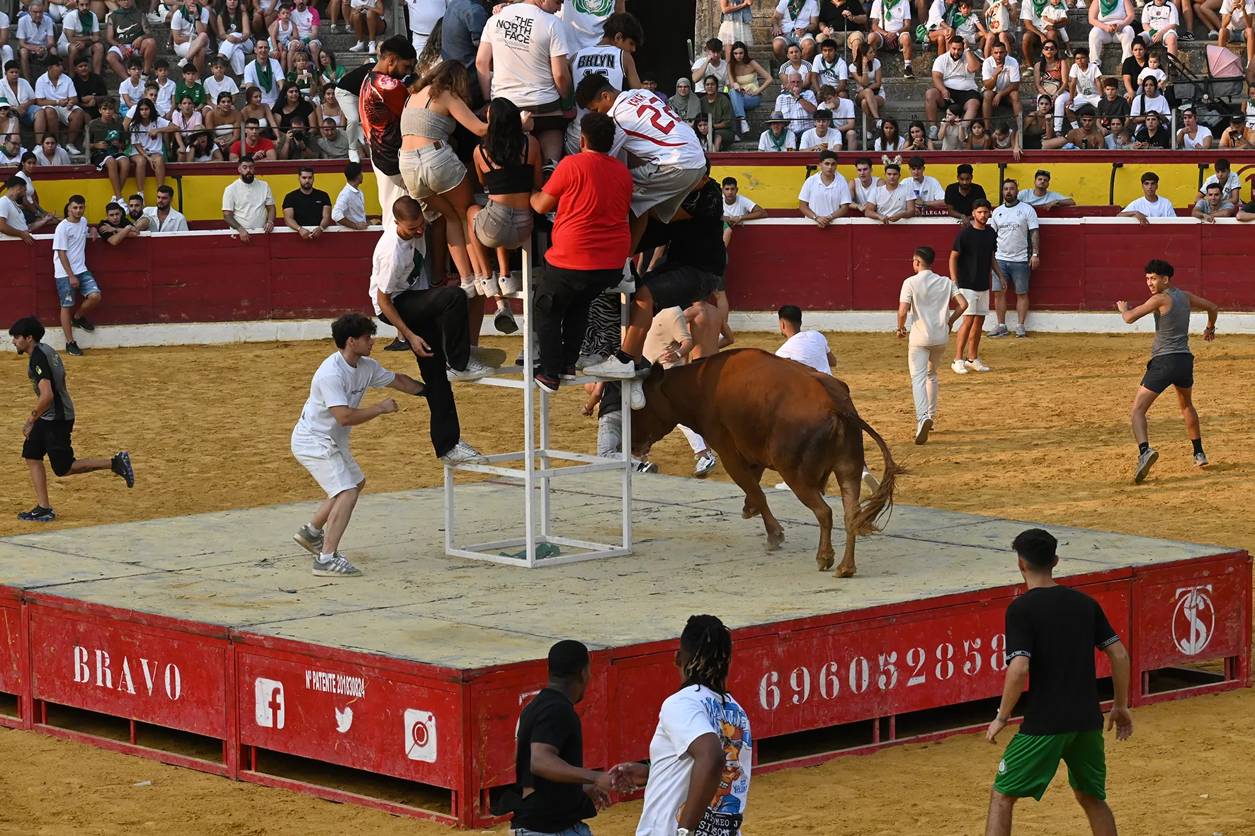 Vaquillas del 15 de agosto. Foto Carlos Jalle 