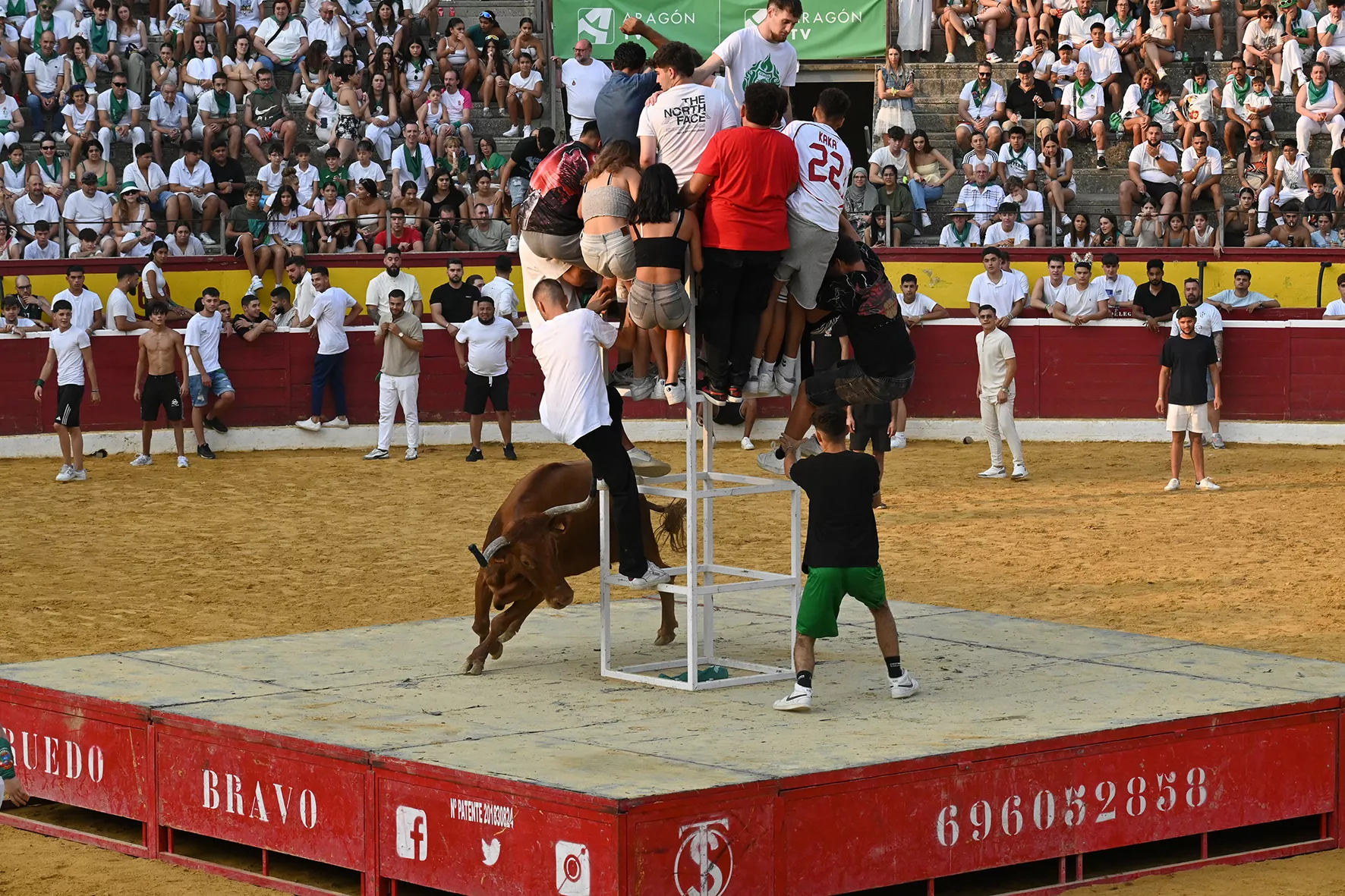 Vaquillas del 15 de agosto. Foto Carlos Jalle 