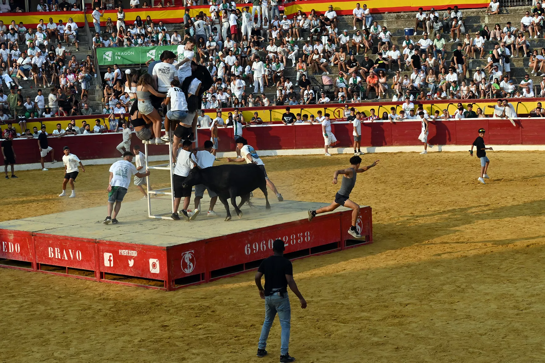 Vaquillas del 15 de agosto. Foto Carlos Jalle 