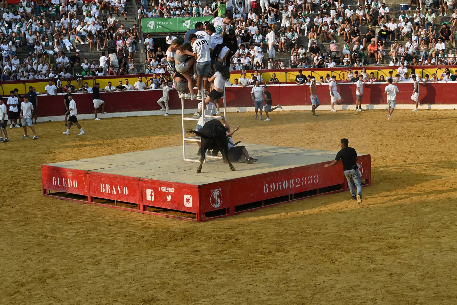 Vaquillas del 15 de agosto. Foto Carlos Jalle 