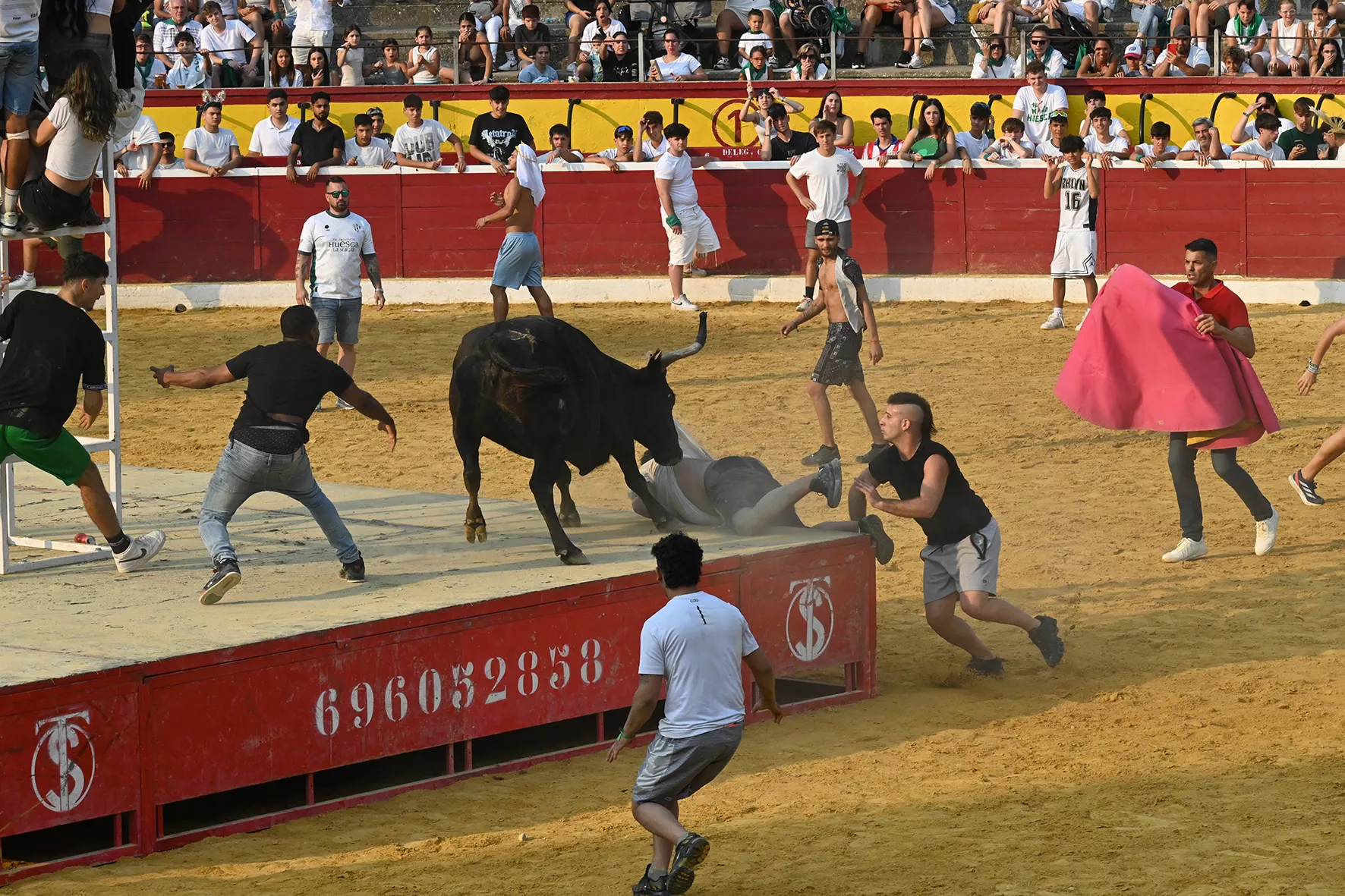 Vaquillas del 15 de agosto. Foto Carlos Jalle 