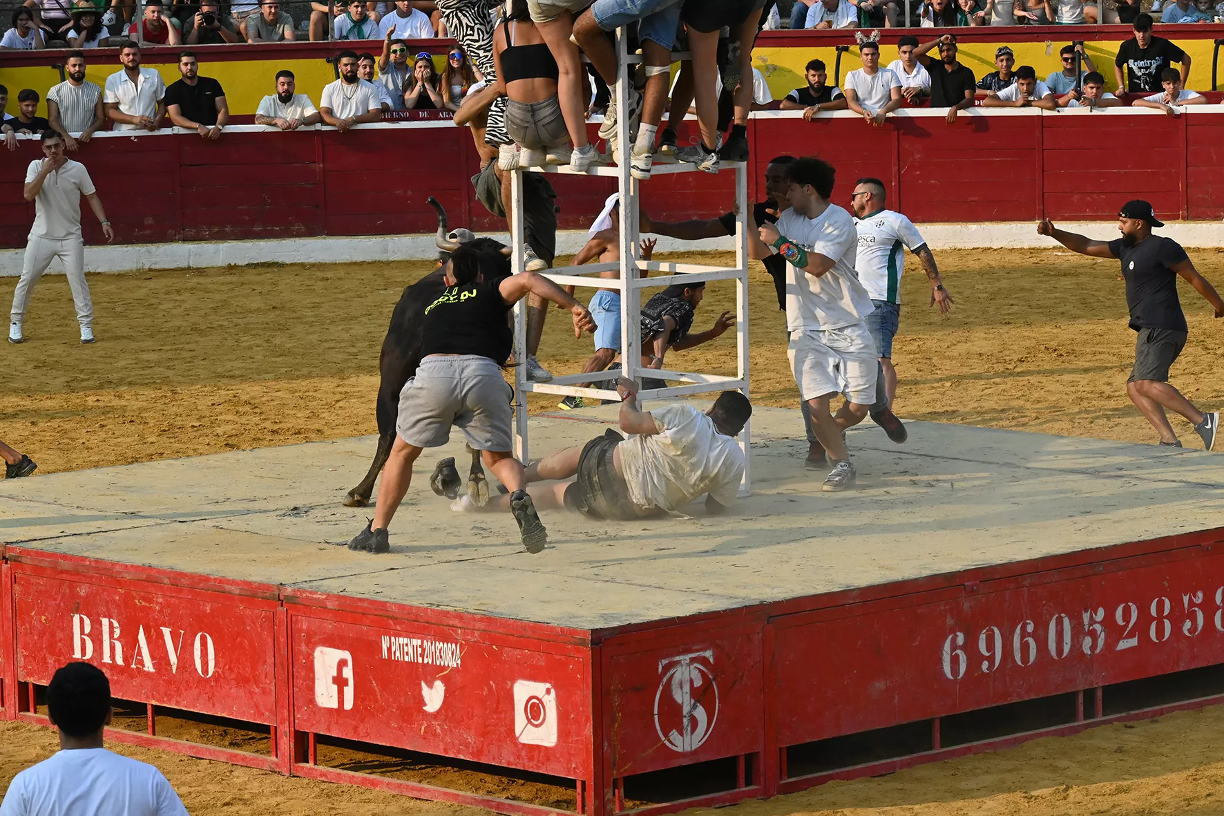 Vaquillas del 15 de agosto. Foto Carlos Jalle 