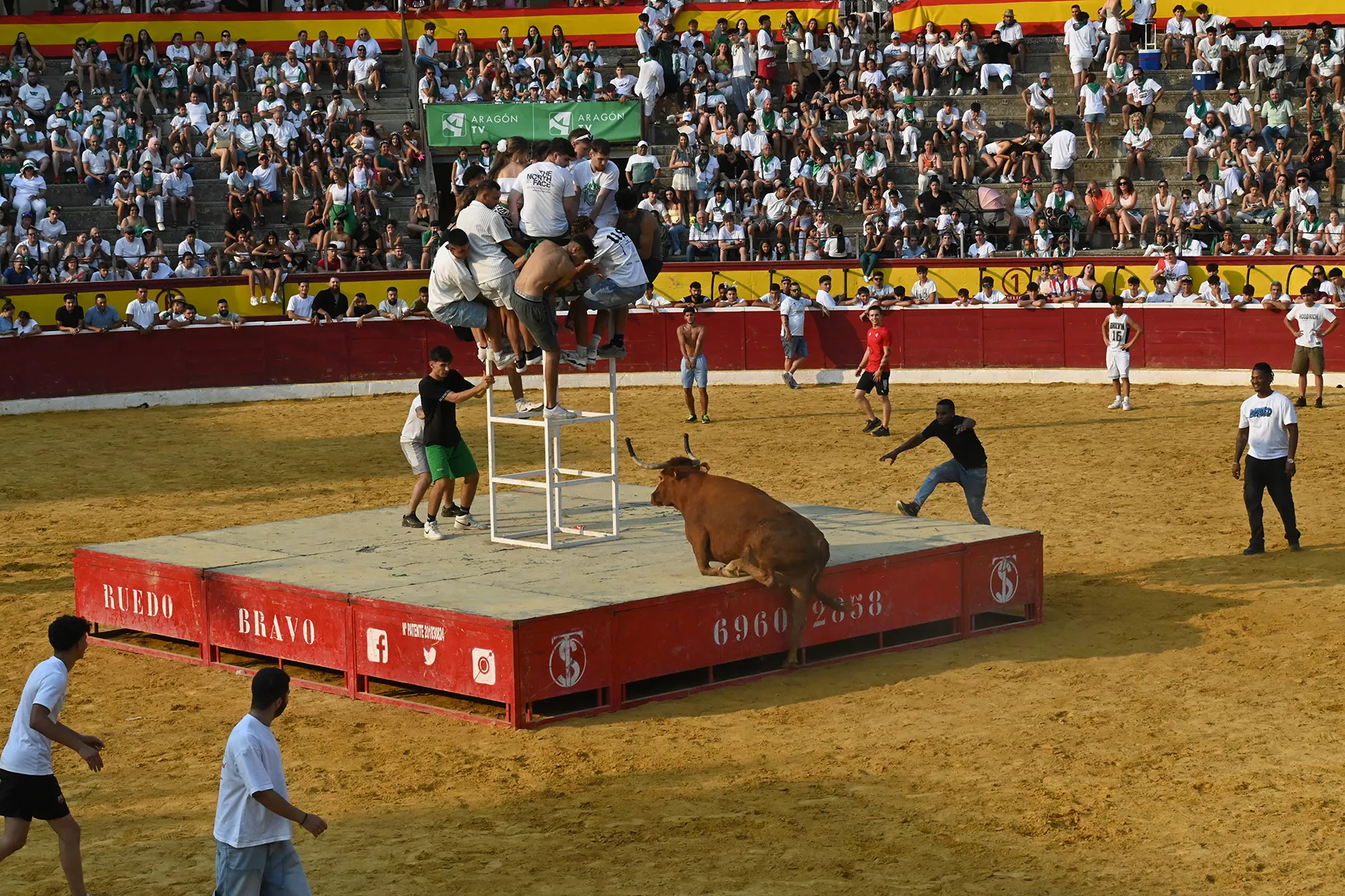 Vaquillas del 15 de agosto. Foto Carlos Jalle 
