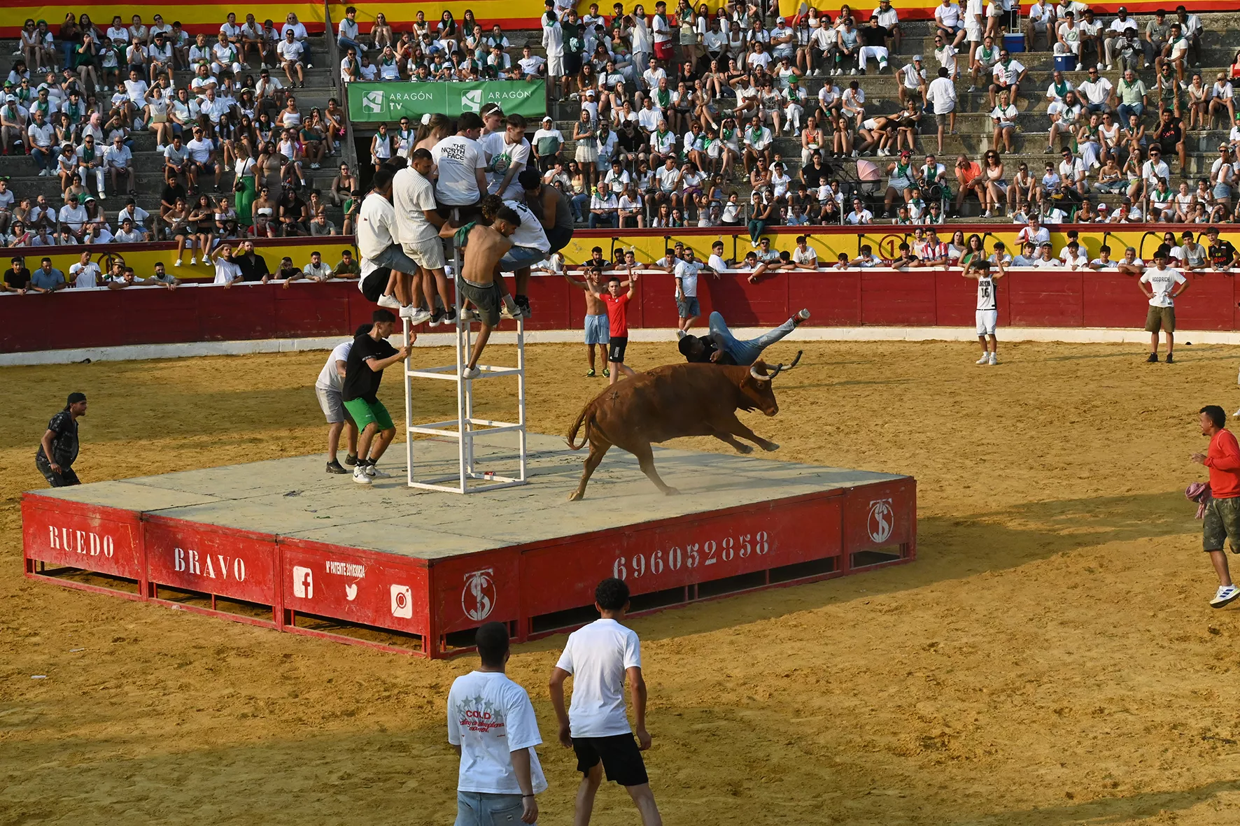 Vaquillas del 15 de agosto. Foto Carlos Jalle 