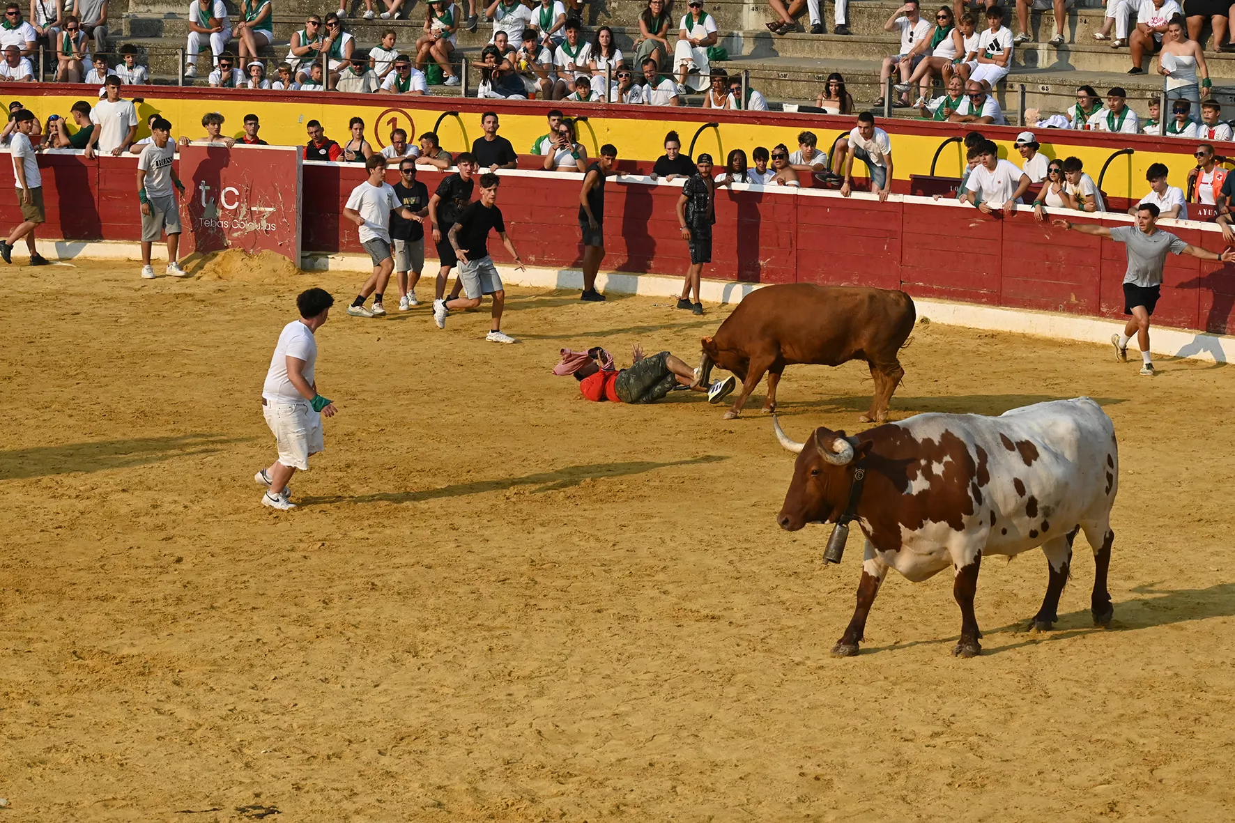 Vaquillas del 15 de agosto. Foto Carlos Jalle 