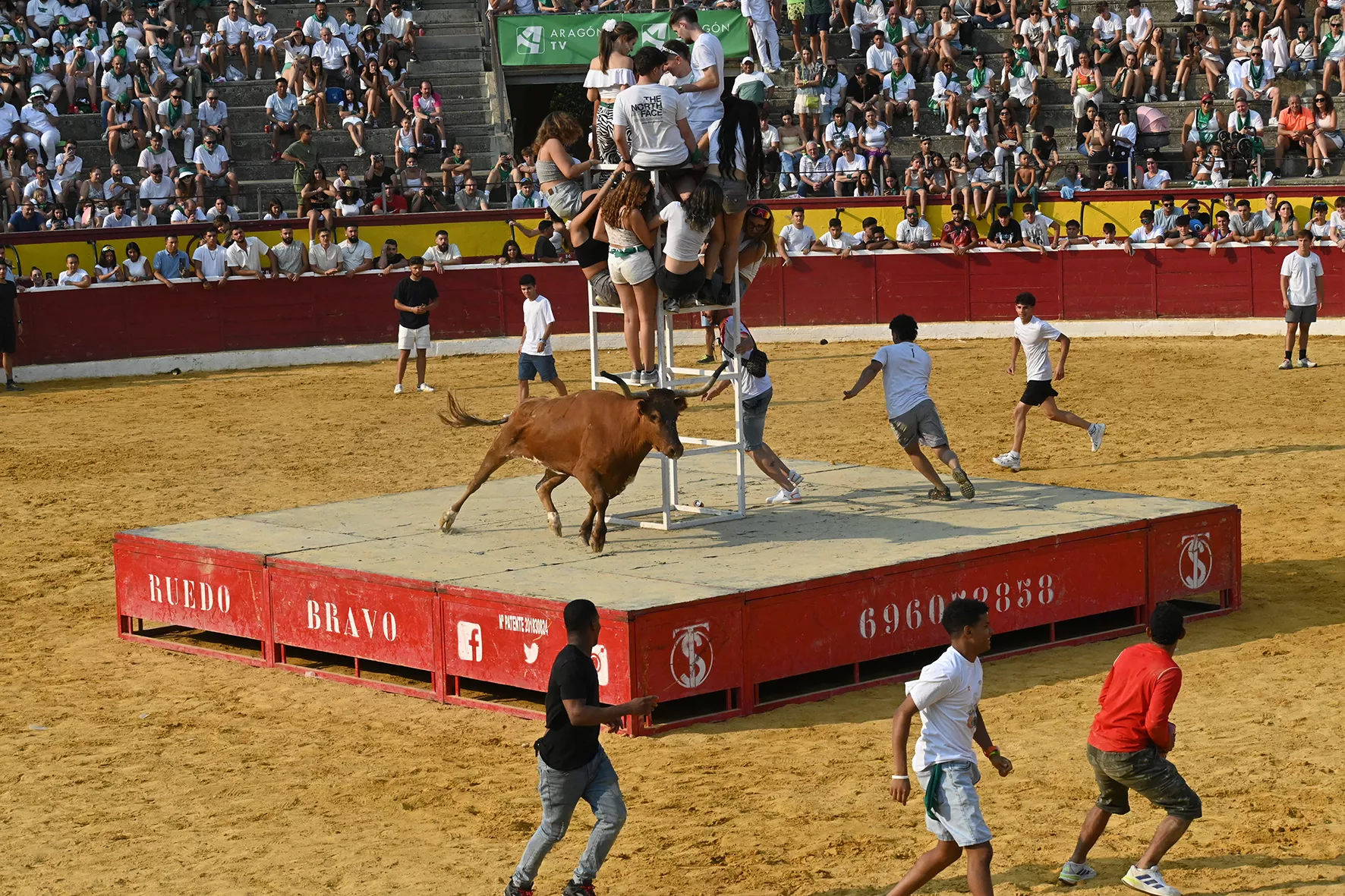 Vaquillas del 15 de agosto. Foto Carlos Jalle 