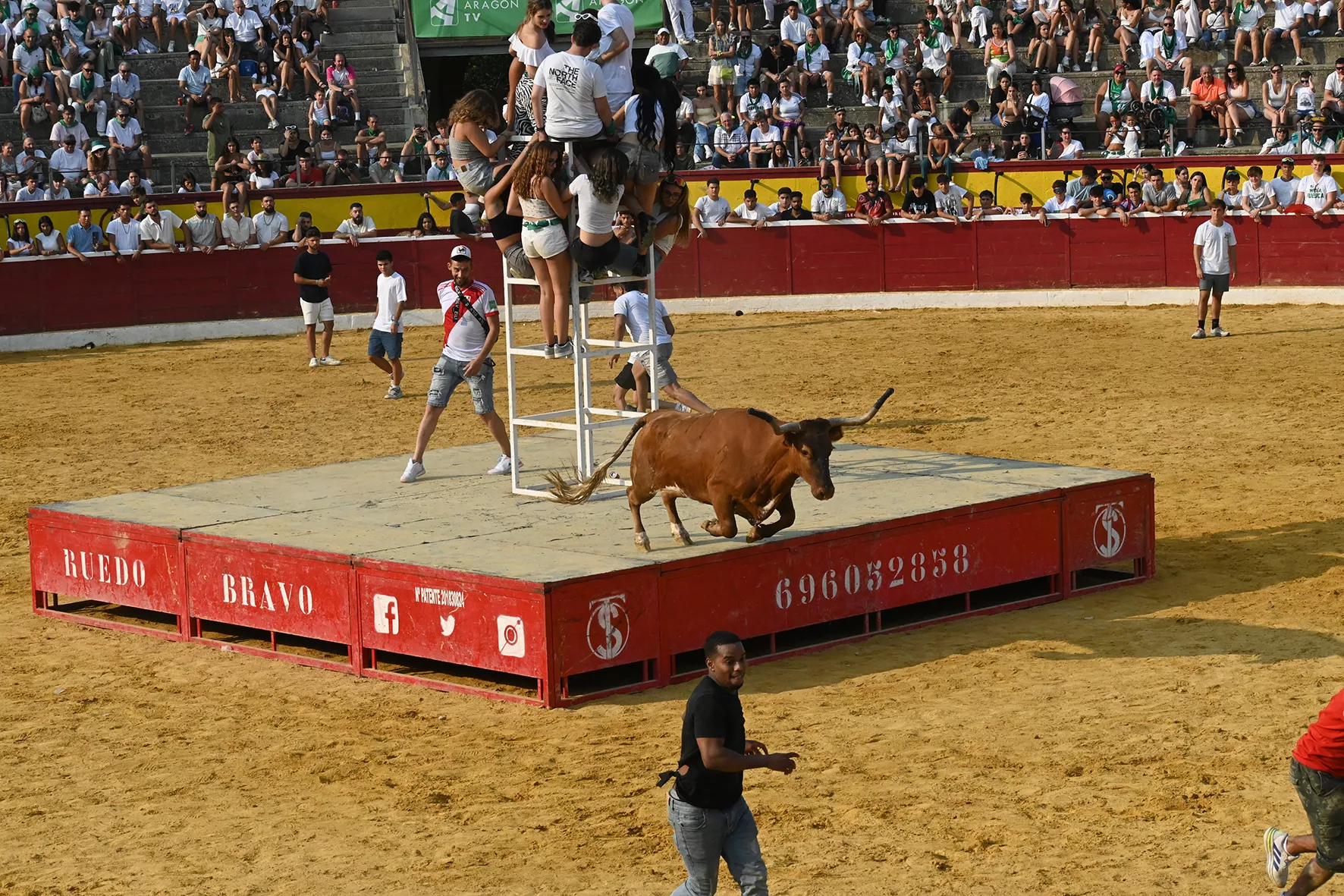 Vaquillas del 15 de agosto. Foto Carlos Jalle 