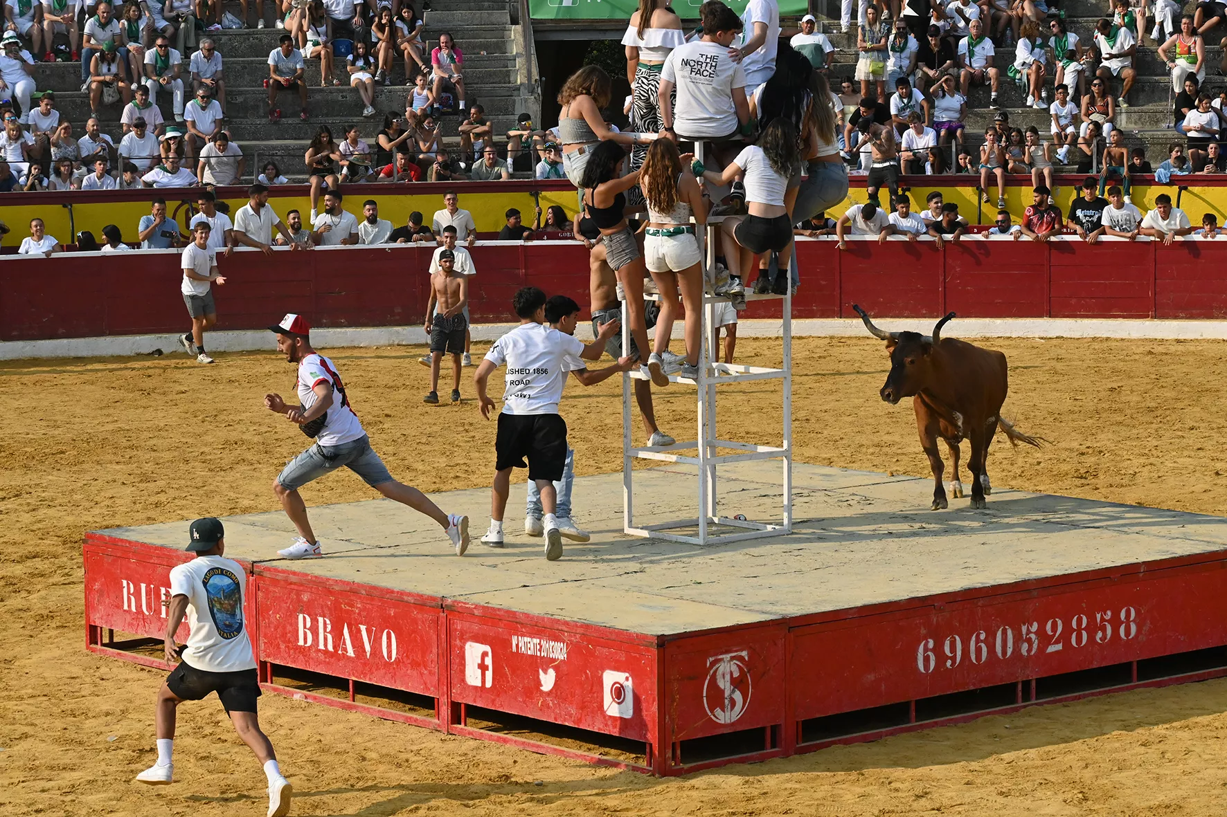 Vaquillas del 15 de agosto. Foto Carlos Jalle 