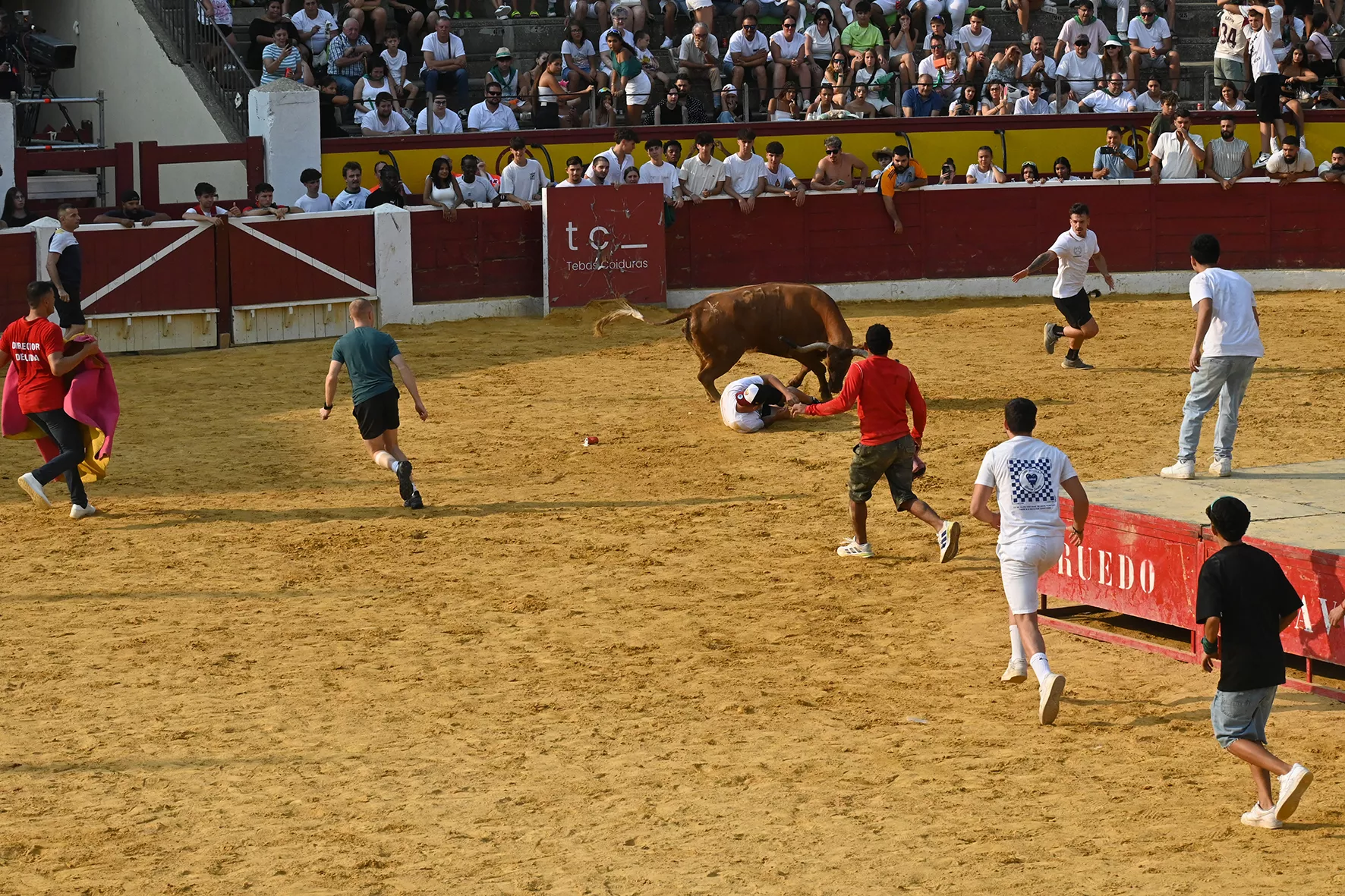 Vaquillas del 15 de agosto. Foto Carlos Jalle 