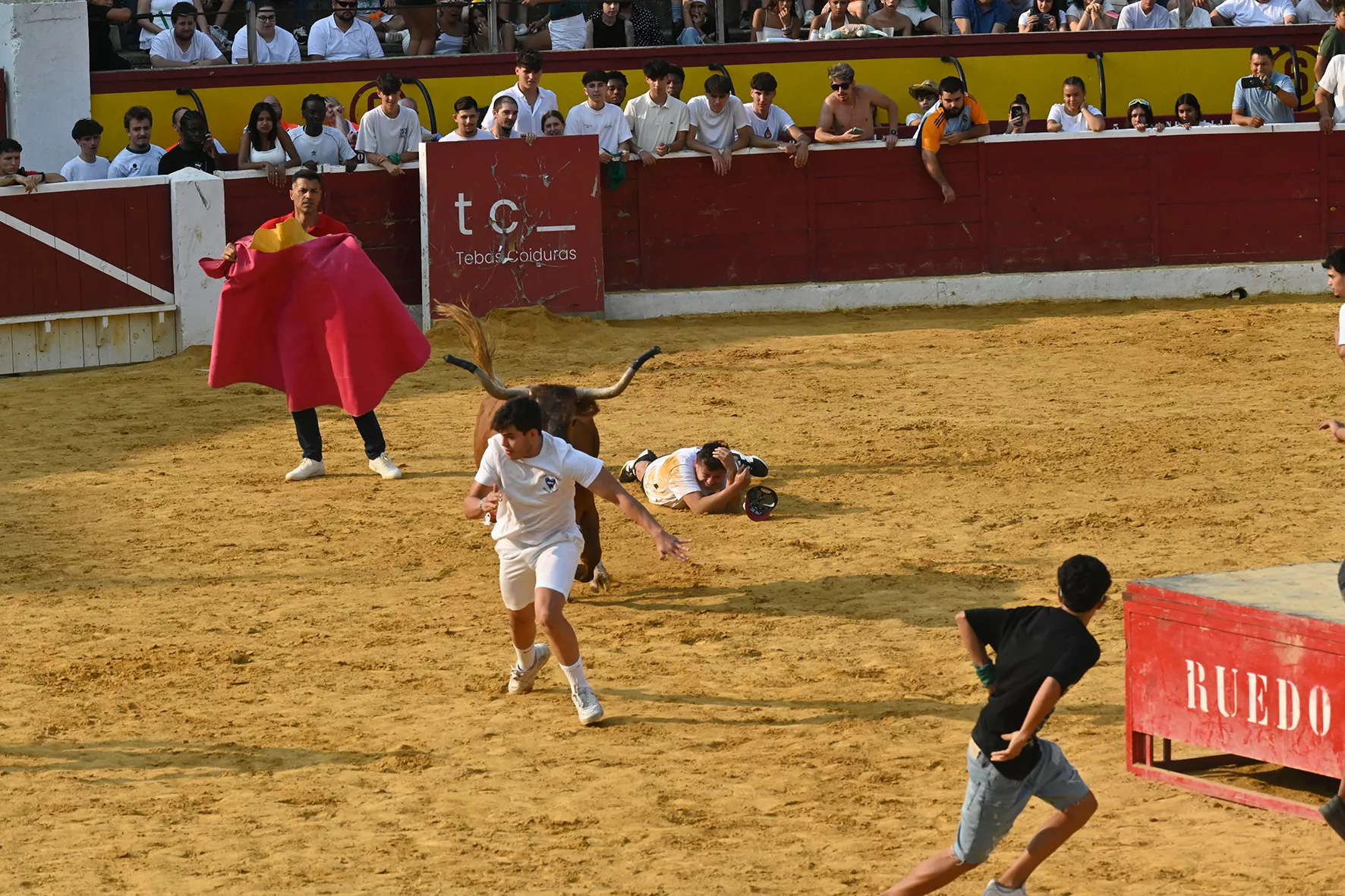 Vaquillas del 15 de agosto. Foto Carlos Jalle 