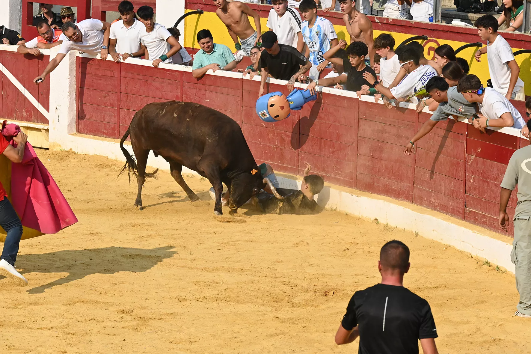 Vaquillas del 15 de agosto. Foto Carlos Jalle 