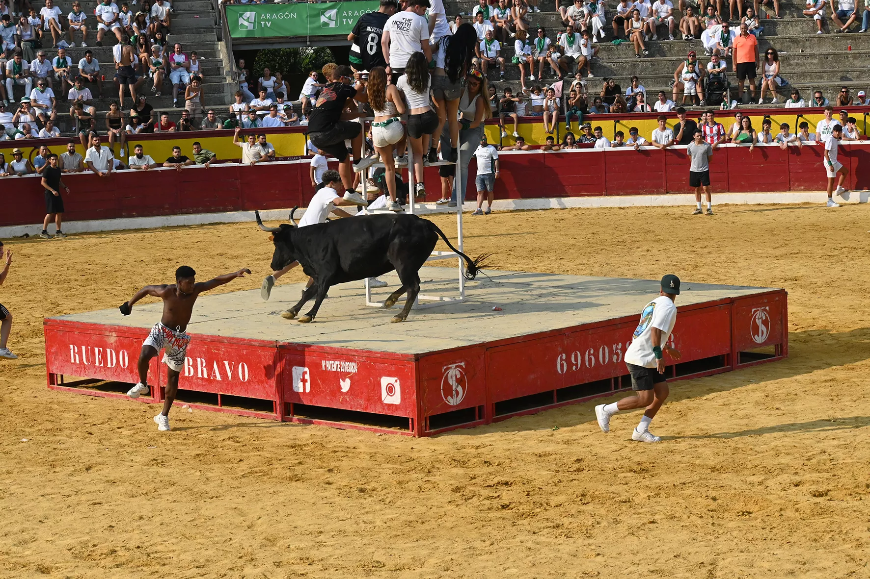Vaquillas del 15 de agosto. Foto Carlos Jalle 