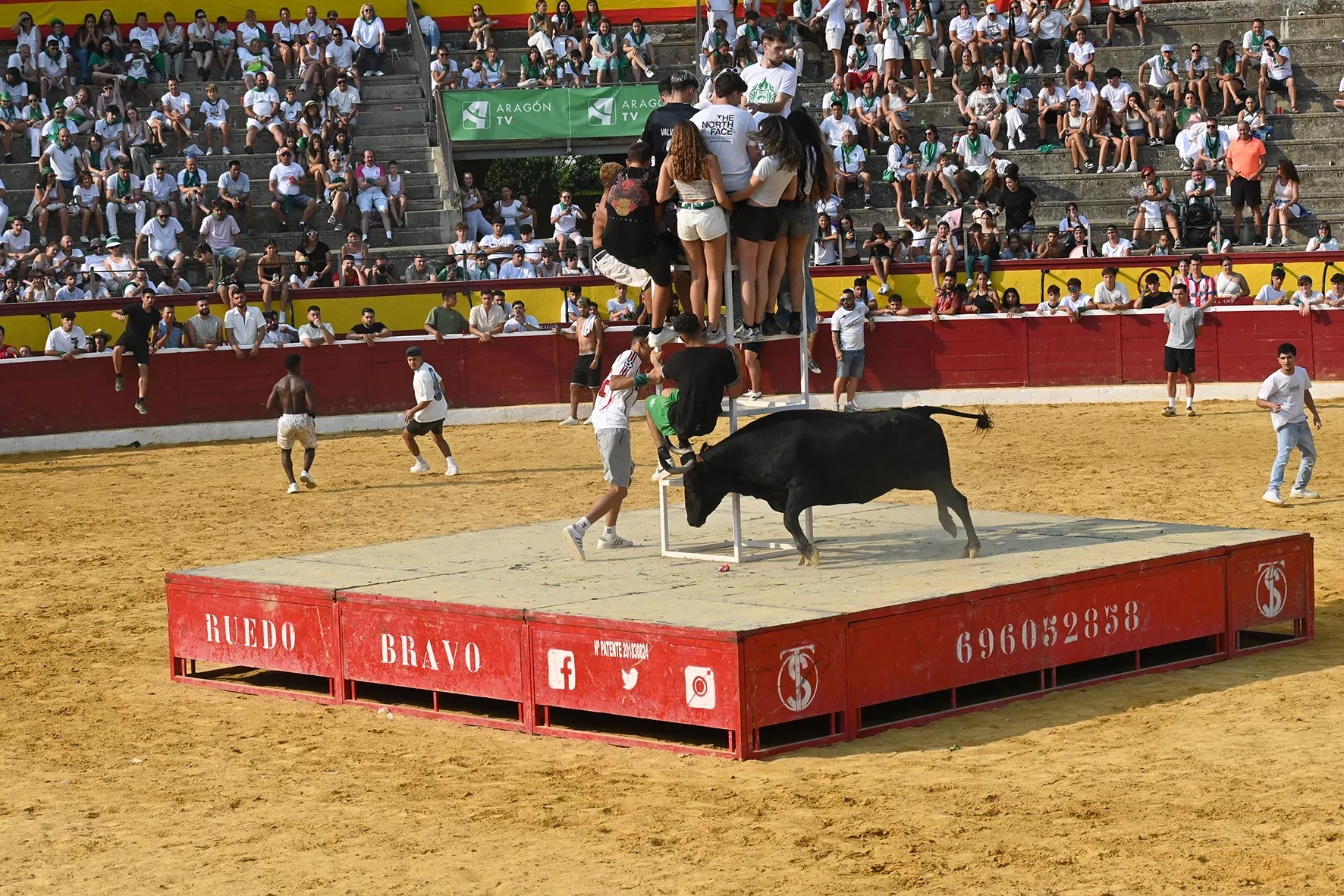 Vaquillas del 15 de agosto. Foto Carlos Jalle 