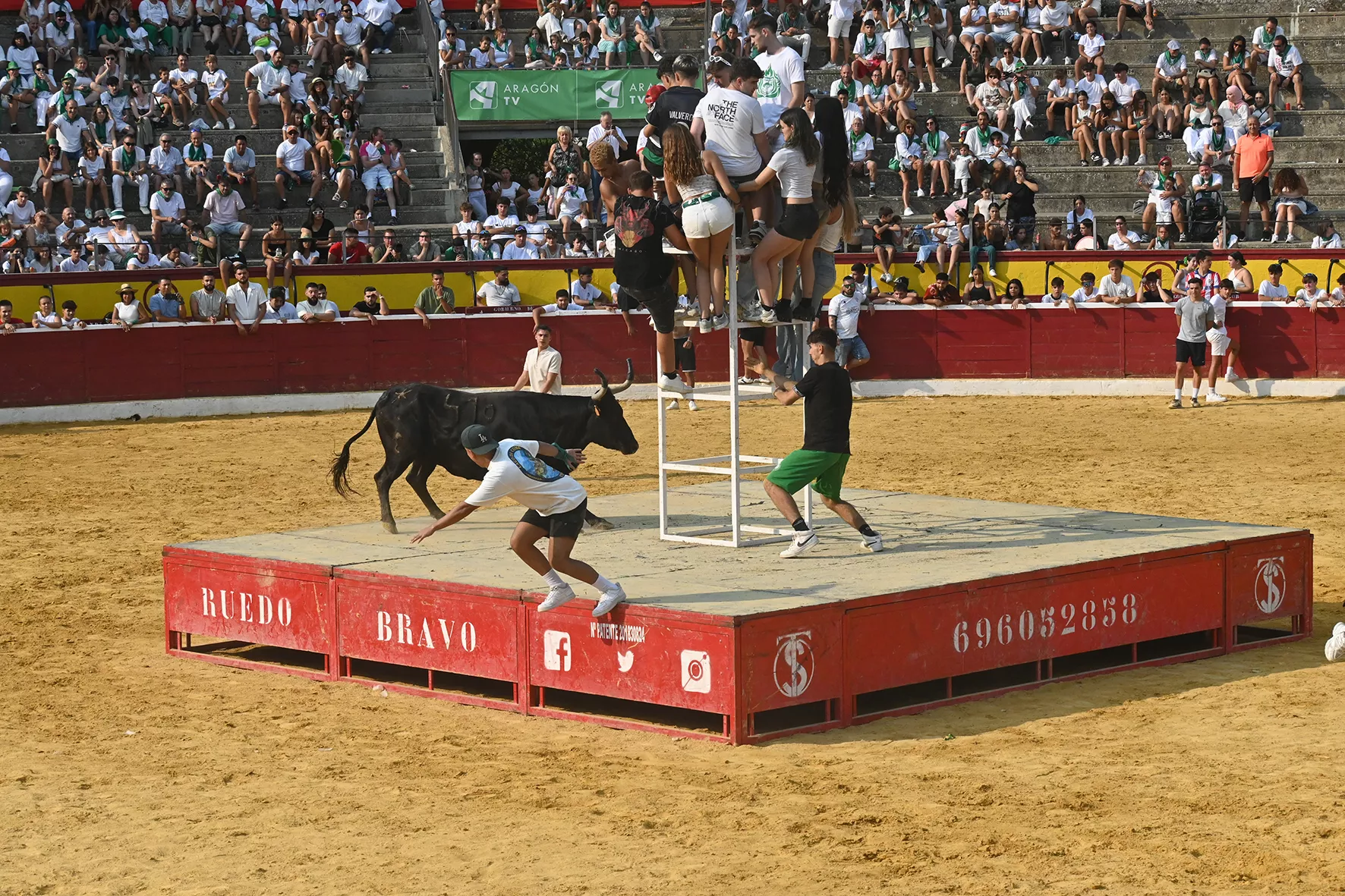 Vaquillas del 15 de agosto. Foto Carlos Jalle 