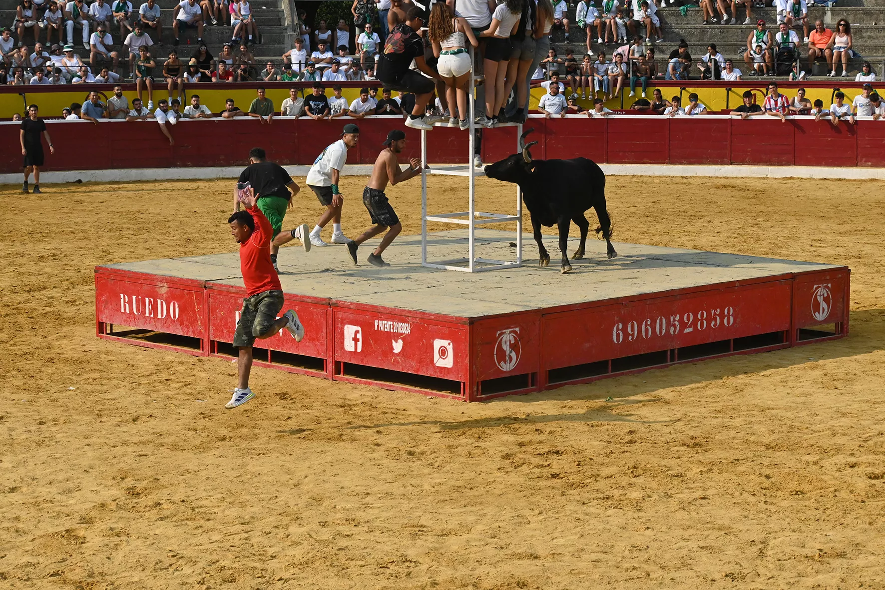 Vaquillas del 15 de agosto. Foto Carlos Jalle 
