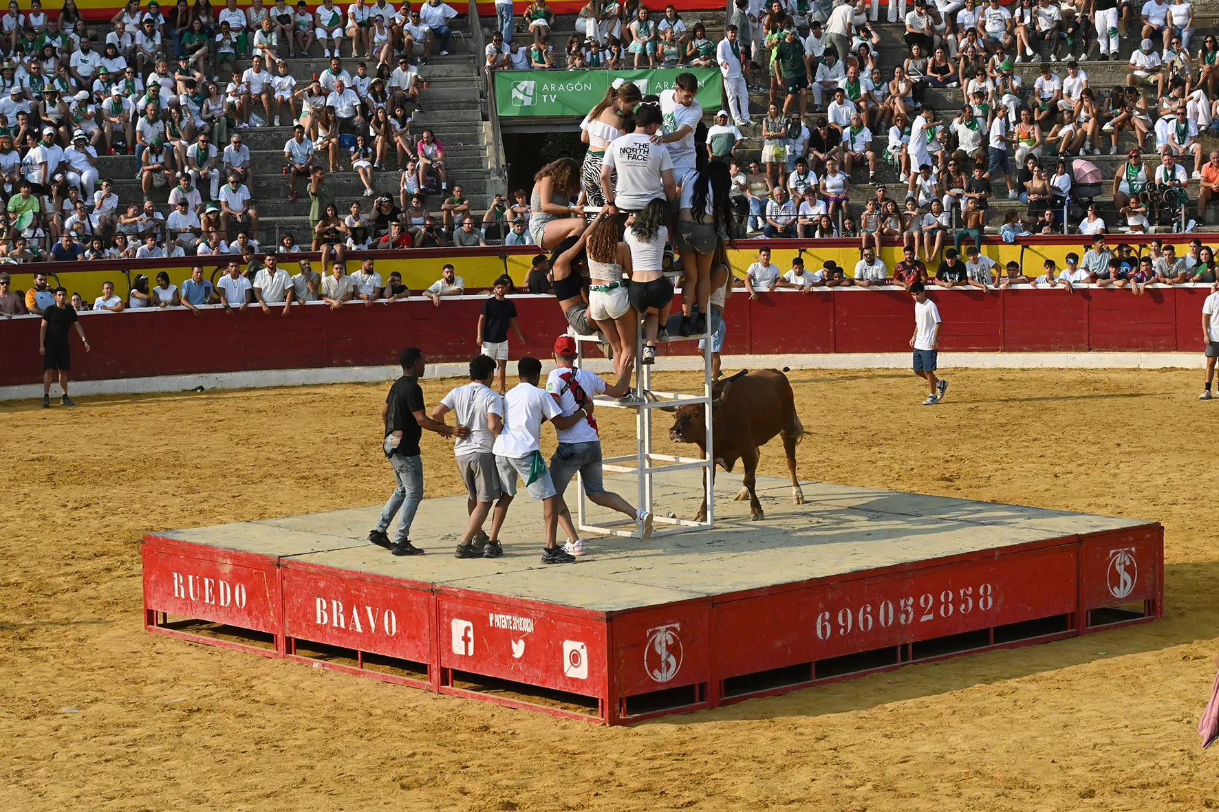 Vaquillas del 15 de agosto. Foto Carlos Jalle 