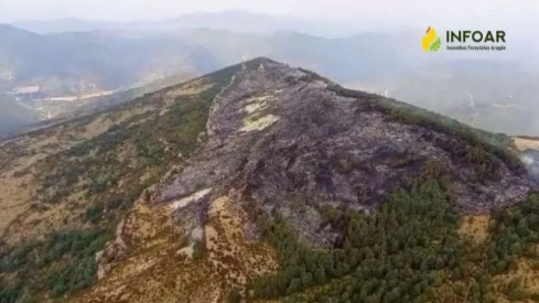 Imagen de WhatsApp 2025 08 18 a las 13.45.09 4ce30035