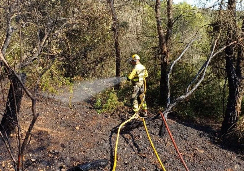 Adelpa reclama medidas urgentes para prevenir los grandes incendios en el Pirineo.