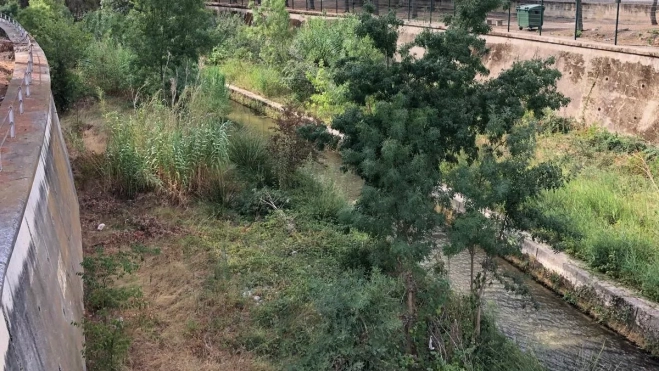 WhatsApp Image 2025 08 19 at 12.47.11 (002) WhatsApp Image 2025 08 19 at 12.47.11 (002)