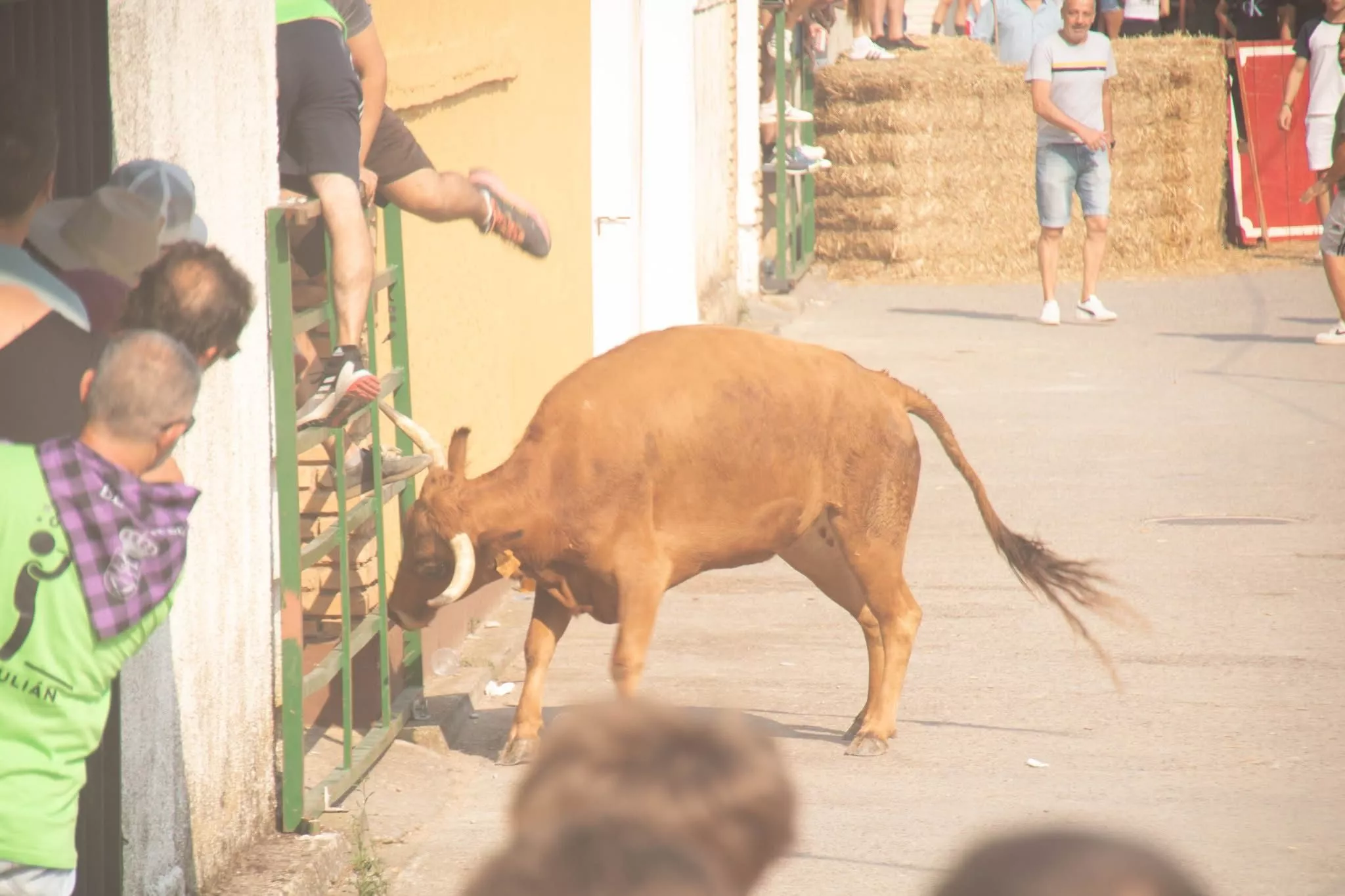 Fiestas de El Temple