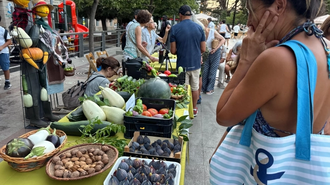 Exposición Exposición