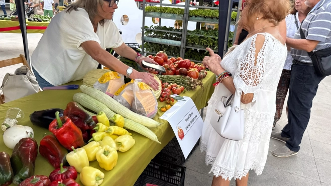 Exposición7 Exposición7