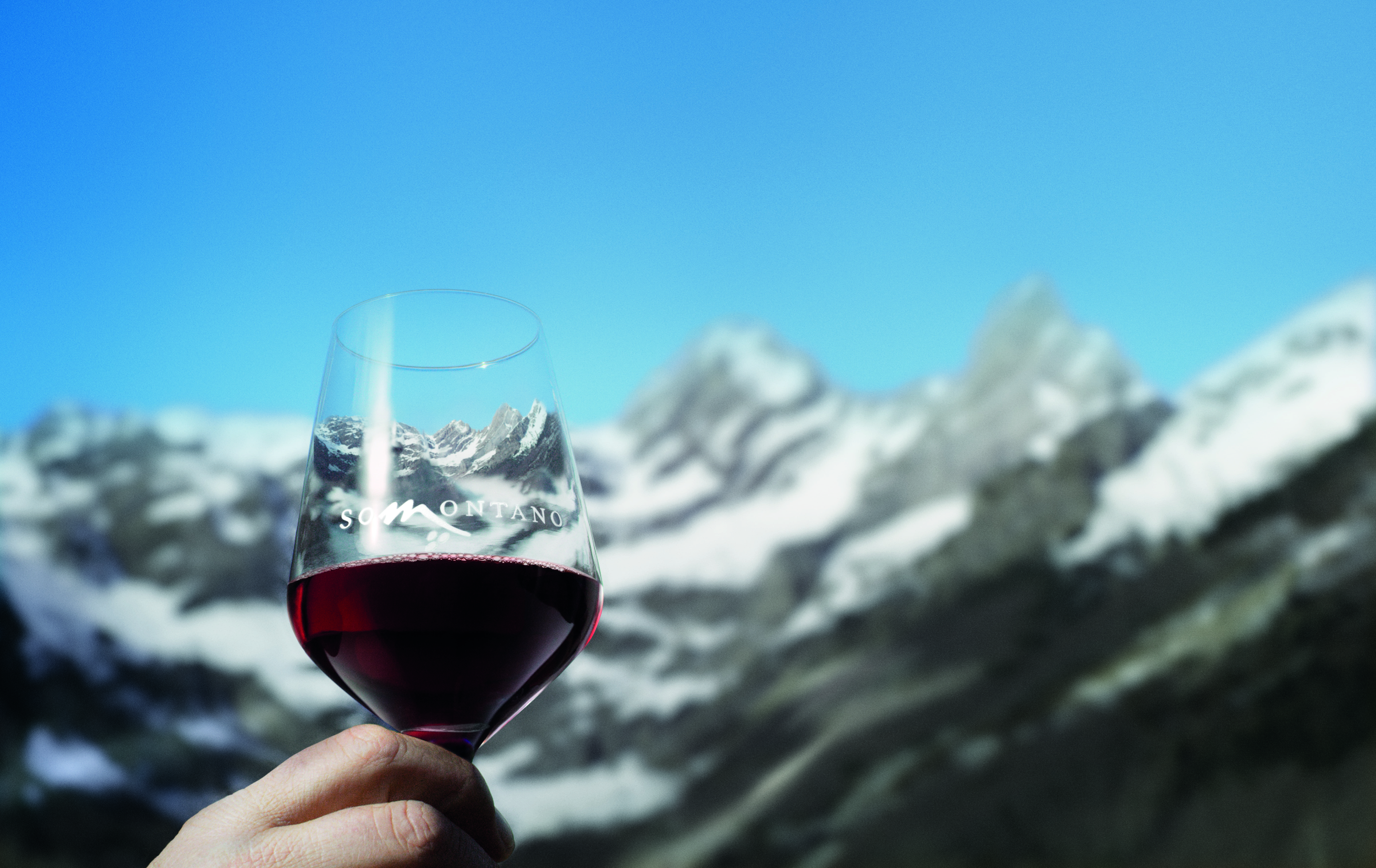 Los vinos del Somontano apuntan alto.