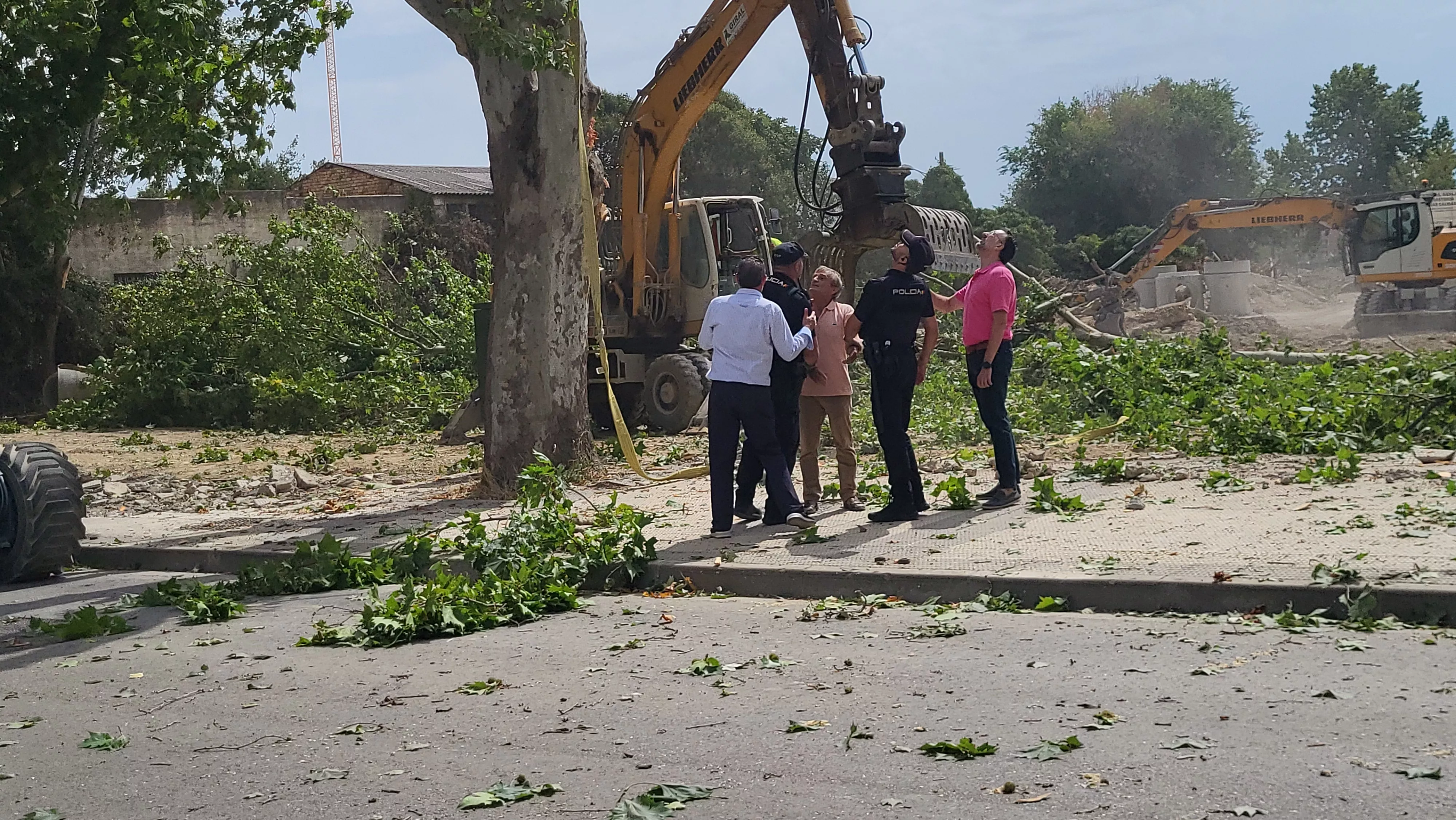 Protesta vecinal por la tala de dos plátanos en Huesca. Foto Mercedes Manterola