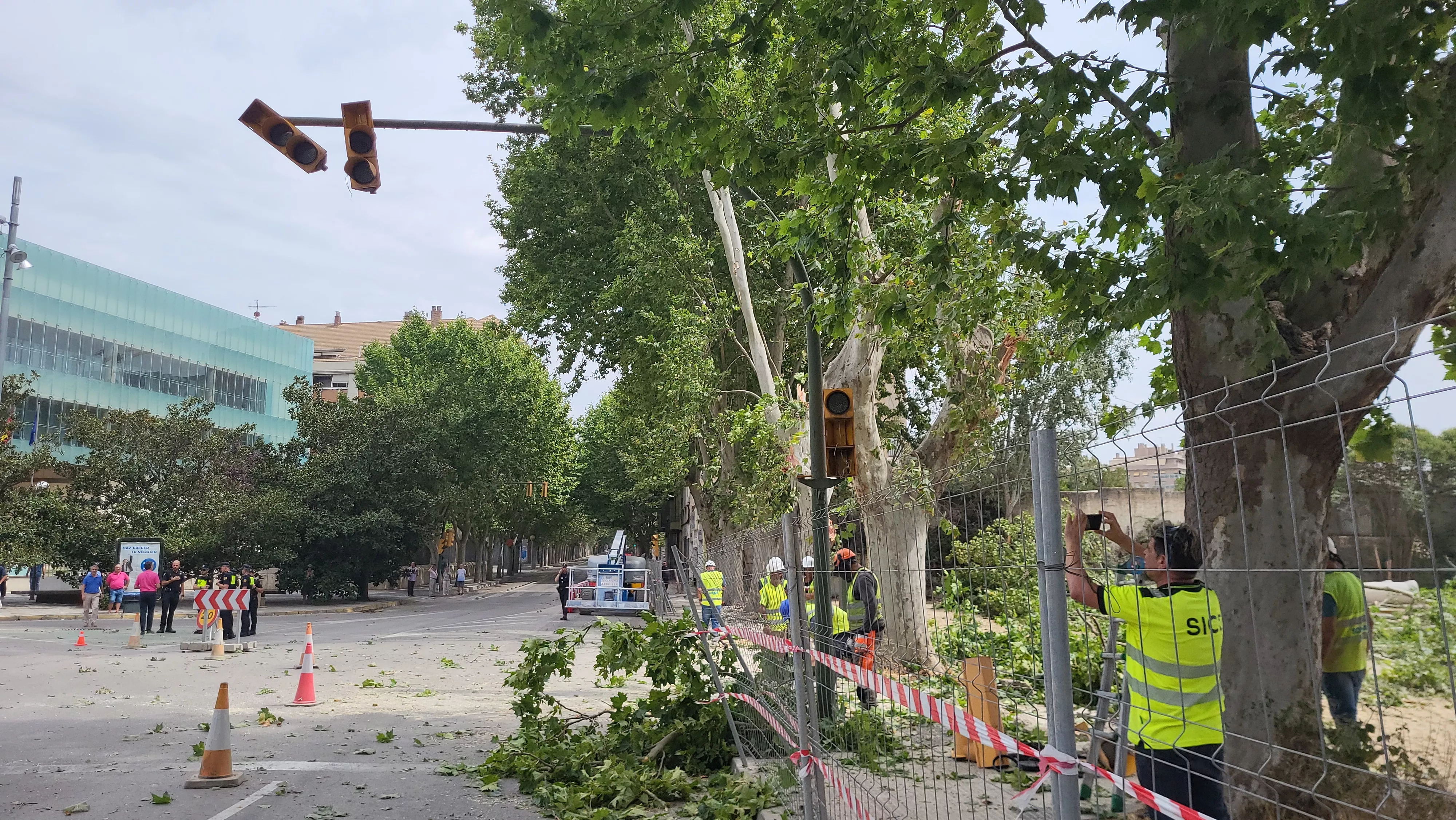 Protesta vecinal por la tala de dos plátanos en Huesca. Foto Mercedes Manterola
