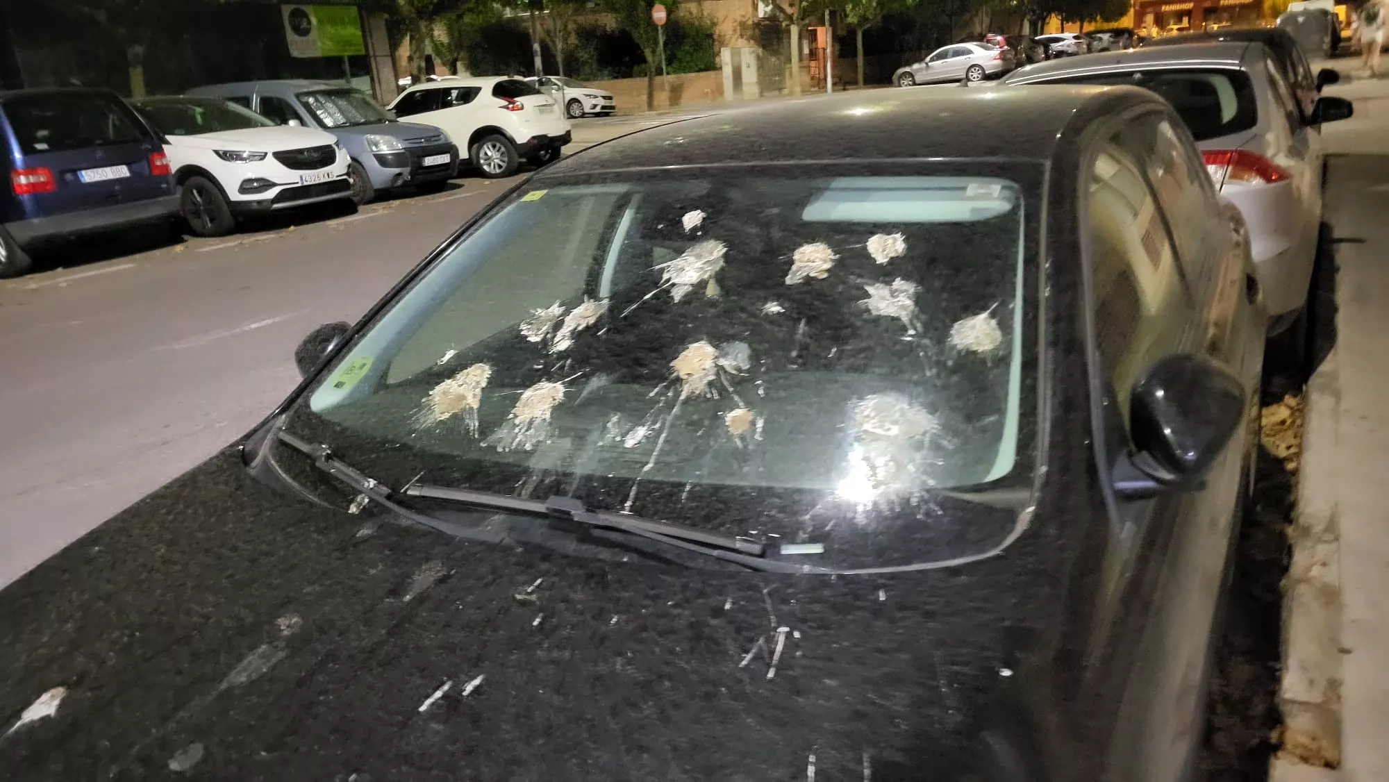 Coche en León Abadías con abundante excremento animal