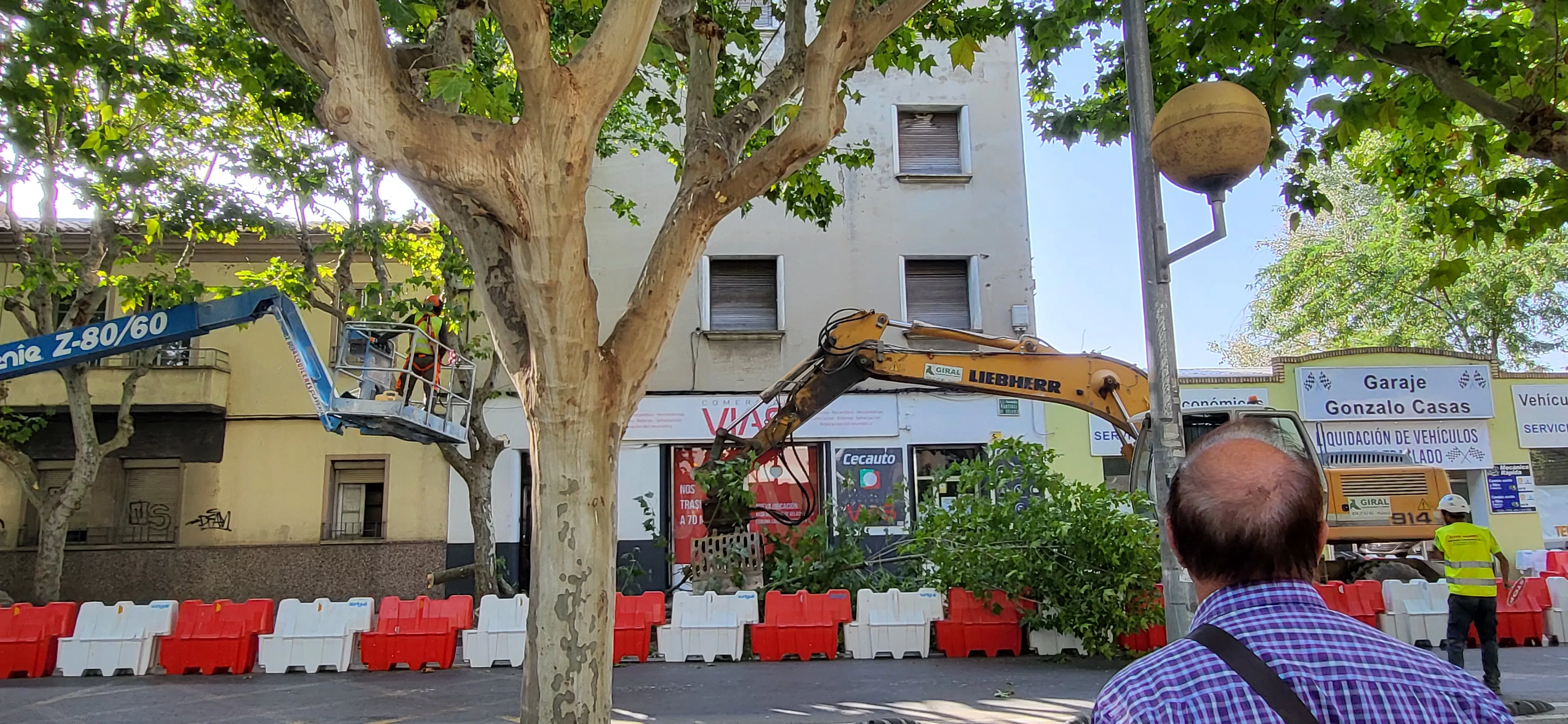 Talas en Martínez de Velasco dentro de las obras del Polígono Harineras. Foto Mercedes Manterola