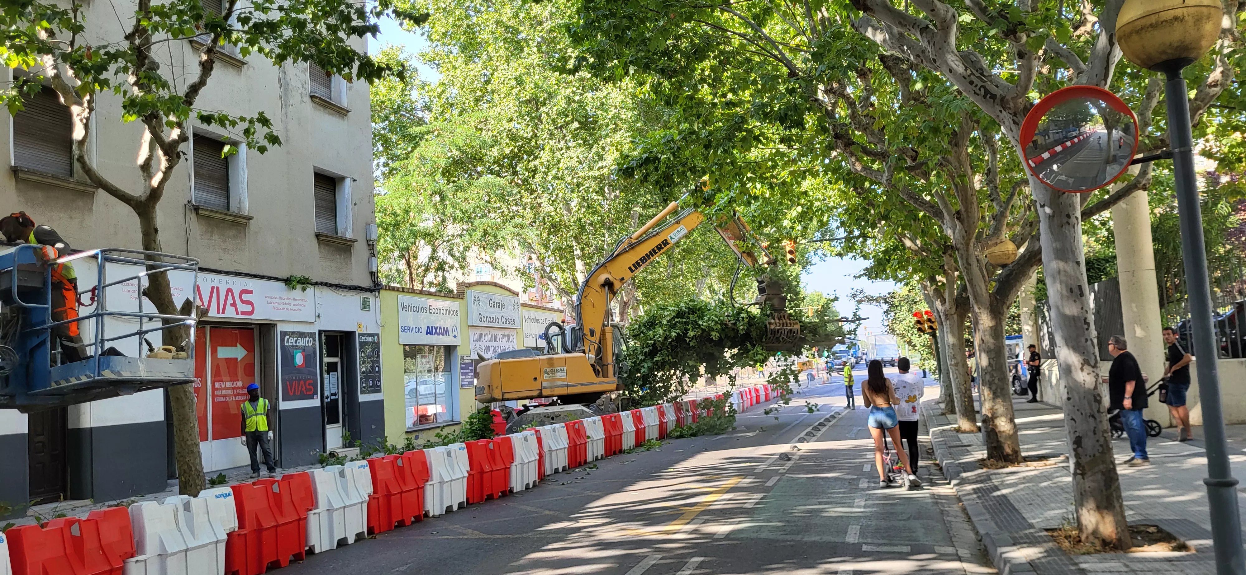 Tala de árboles en la avenida Martínez de Velasco dentro del plan urbanístico de Harineras. Foto Mercedes Manterola