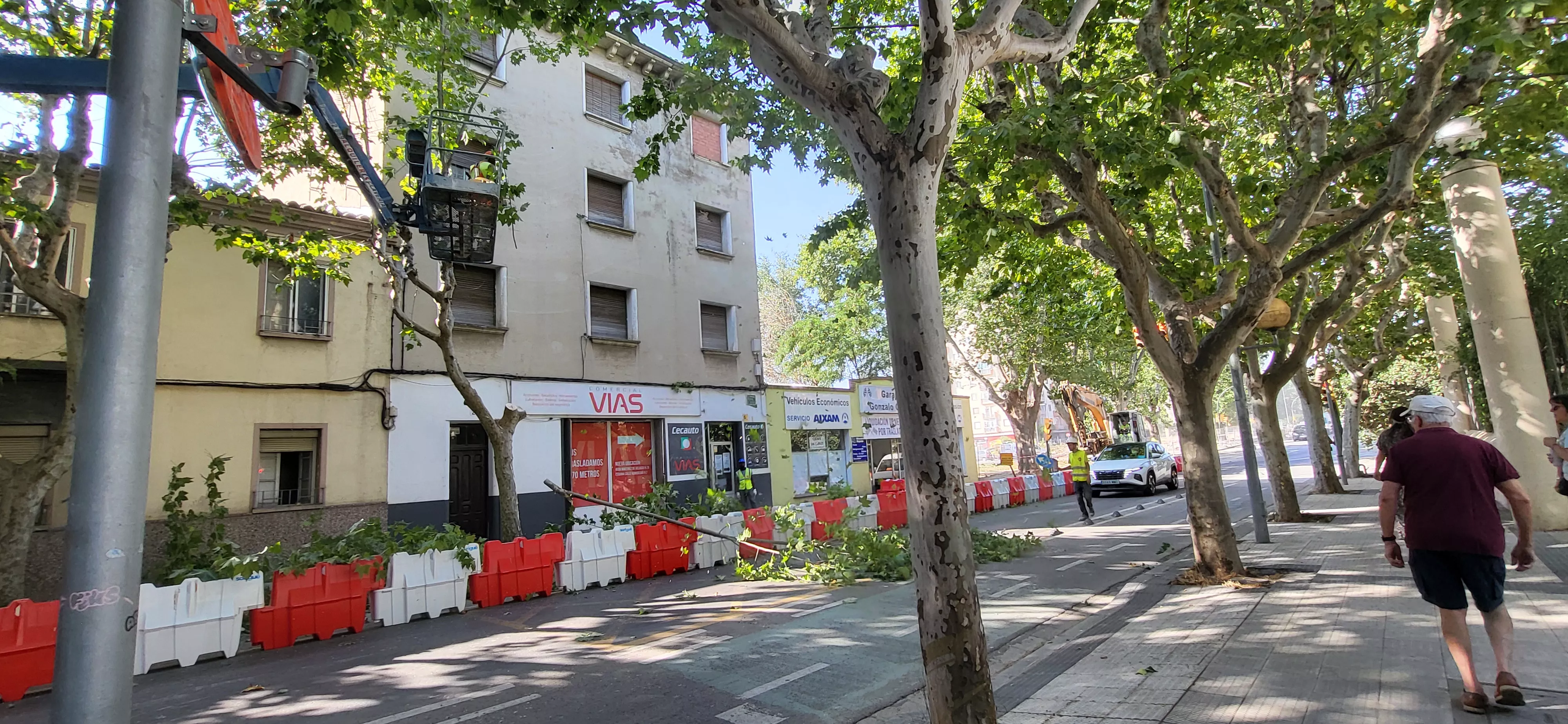 Tala de árboles en la avenida Martínez de Velasco dentro del plan urbanístico de Harineras. Foto Mercedes Manterola