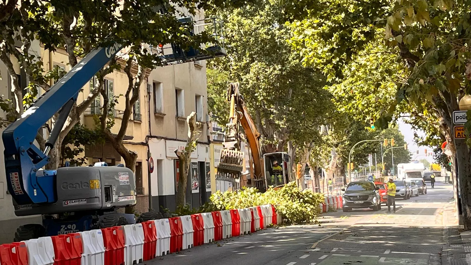 Tala de árboles en la avenida Martínez de Velasco dentro del plan urbanístico de Harineras. Foto Mercedes Manterola