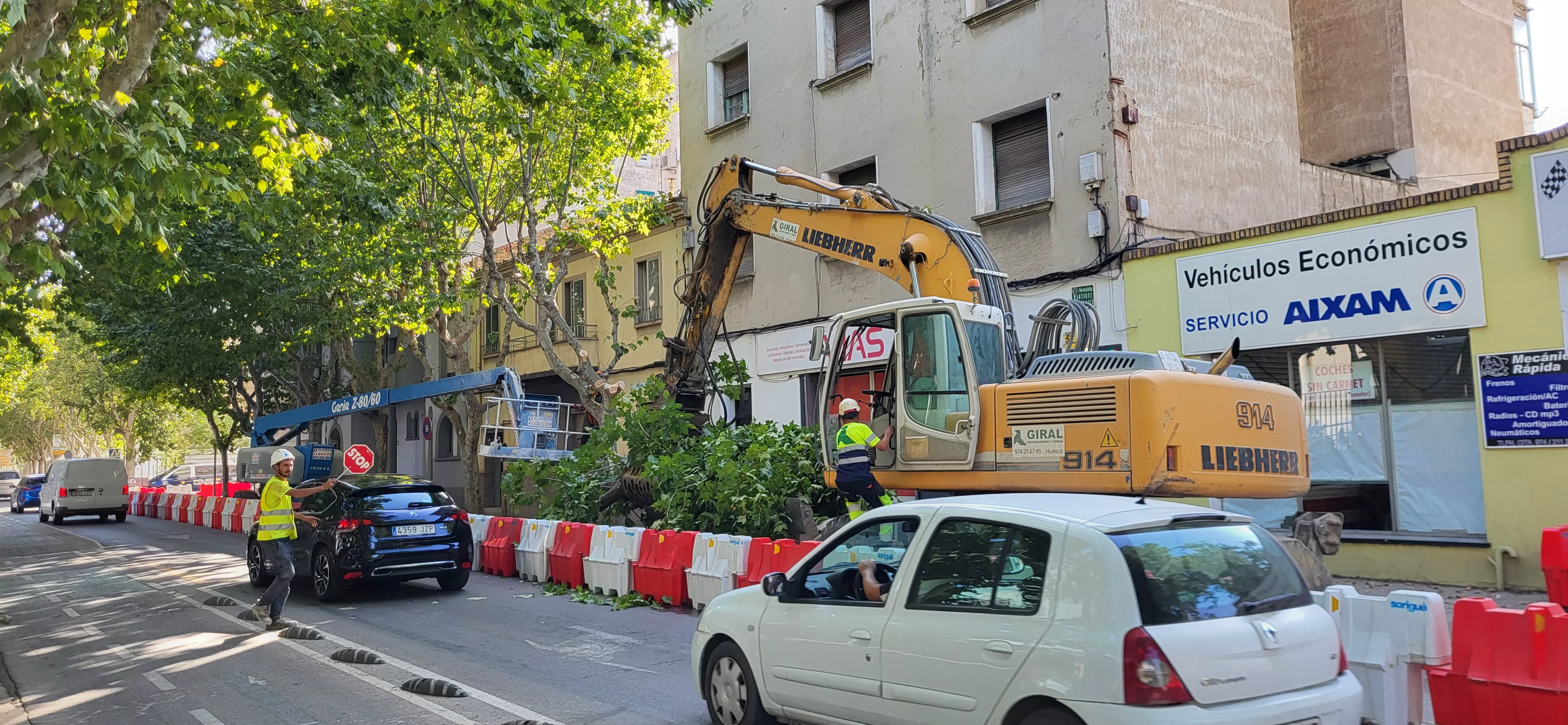 Tala de árboles en la avenida Martínez de Velasco dentro del plan urbanístico de Harineras. Foto Mercedes Manterola