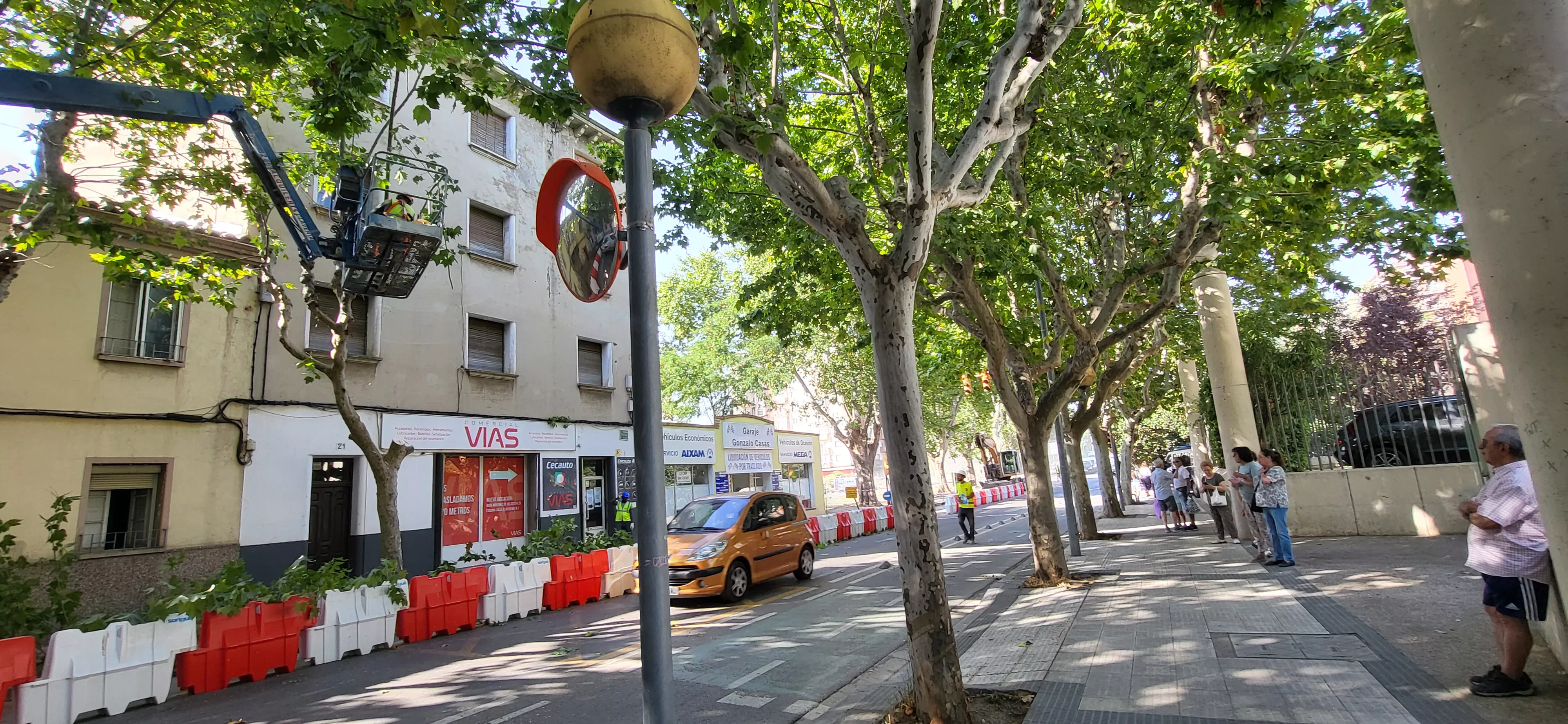Tala de árboles en la avenida Martínez de Velasco dentro del plan urbanístico de Harineras. Foto Mercedes Manterola