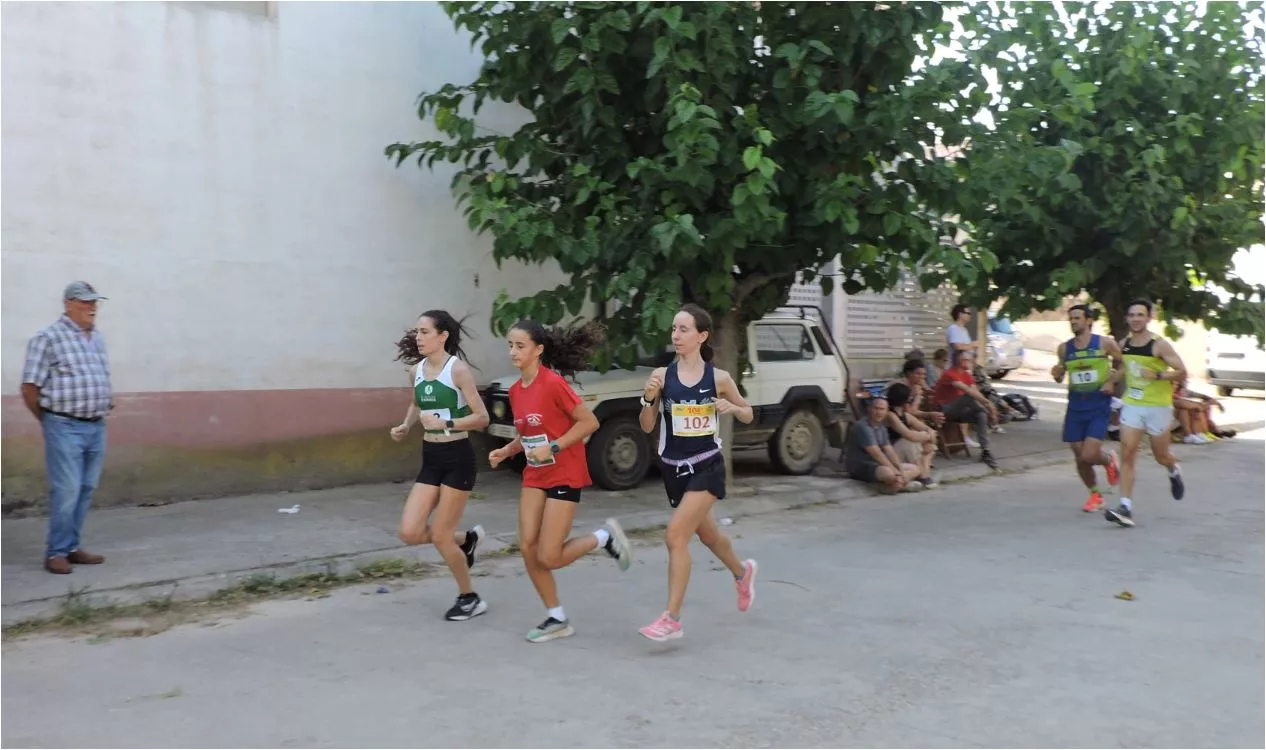 Grupo de cabeza femenino