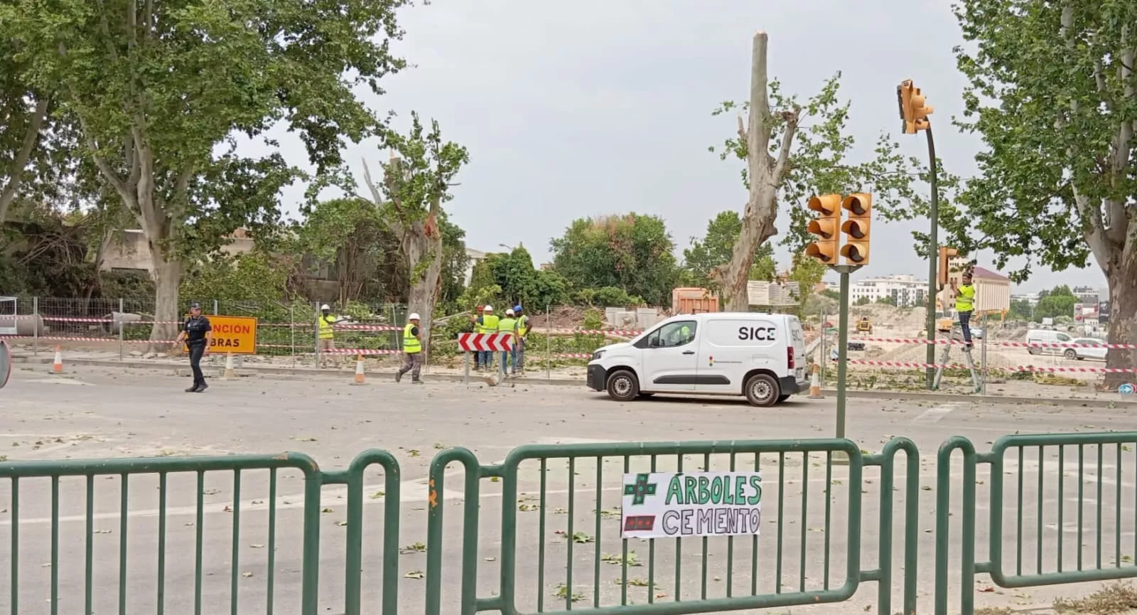 Cambiar Huesca–IU exige la paralización de la tala de árboles en Martínez de Velasco.
