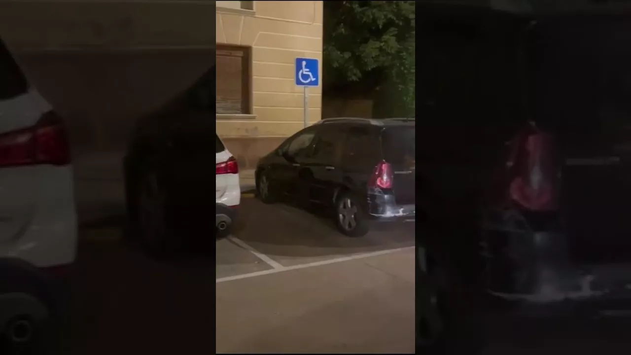 El jabalí sorprendió a la familia cuando llegaba a Ayerbe con su coche.