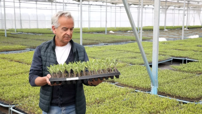 Miguel Ángel Vicente con el plantero del tomate zaragozano en 2023 (002) Miguel Ángel Vicente con el plantero del tomate zaragozano en 2023 (002)